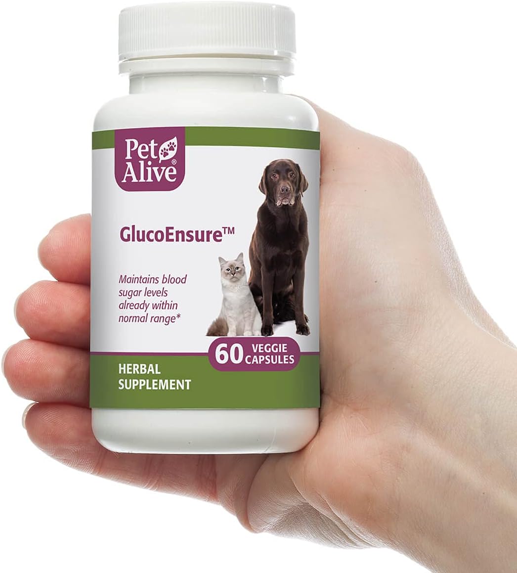 Natural Herbal Supplement for Maintaining Normal Blood Sugar Levels in Pets - PetAlive GlucoEnsure