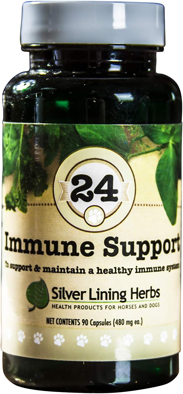 Natural Herbs Dog Immune Support Supplement - Boost Strength, Stamina, Endurance - 90 Capsules