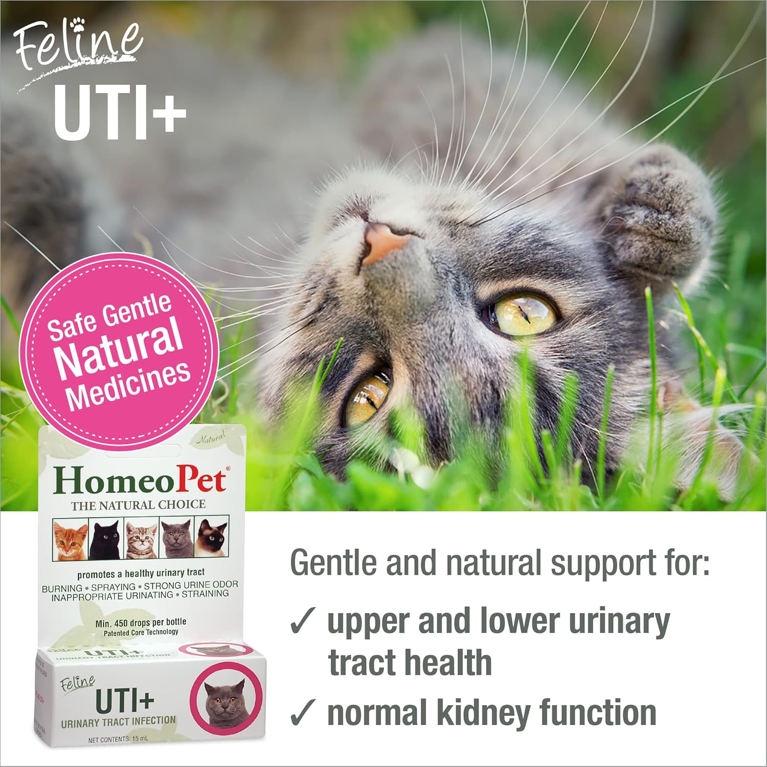 Natural Homeopathic Feline UTI Plus - 15ml - Cat Urinary Tract Support