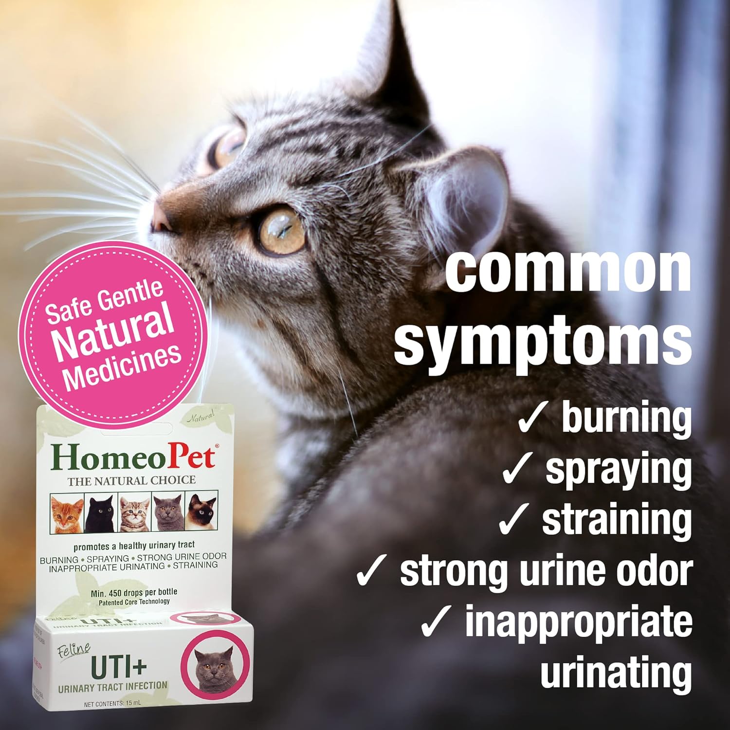 Natural Homeopathic Feline UTI Plus - 15ml - Cat Urinary Tract Support