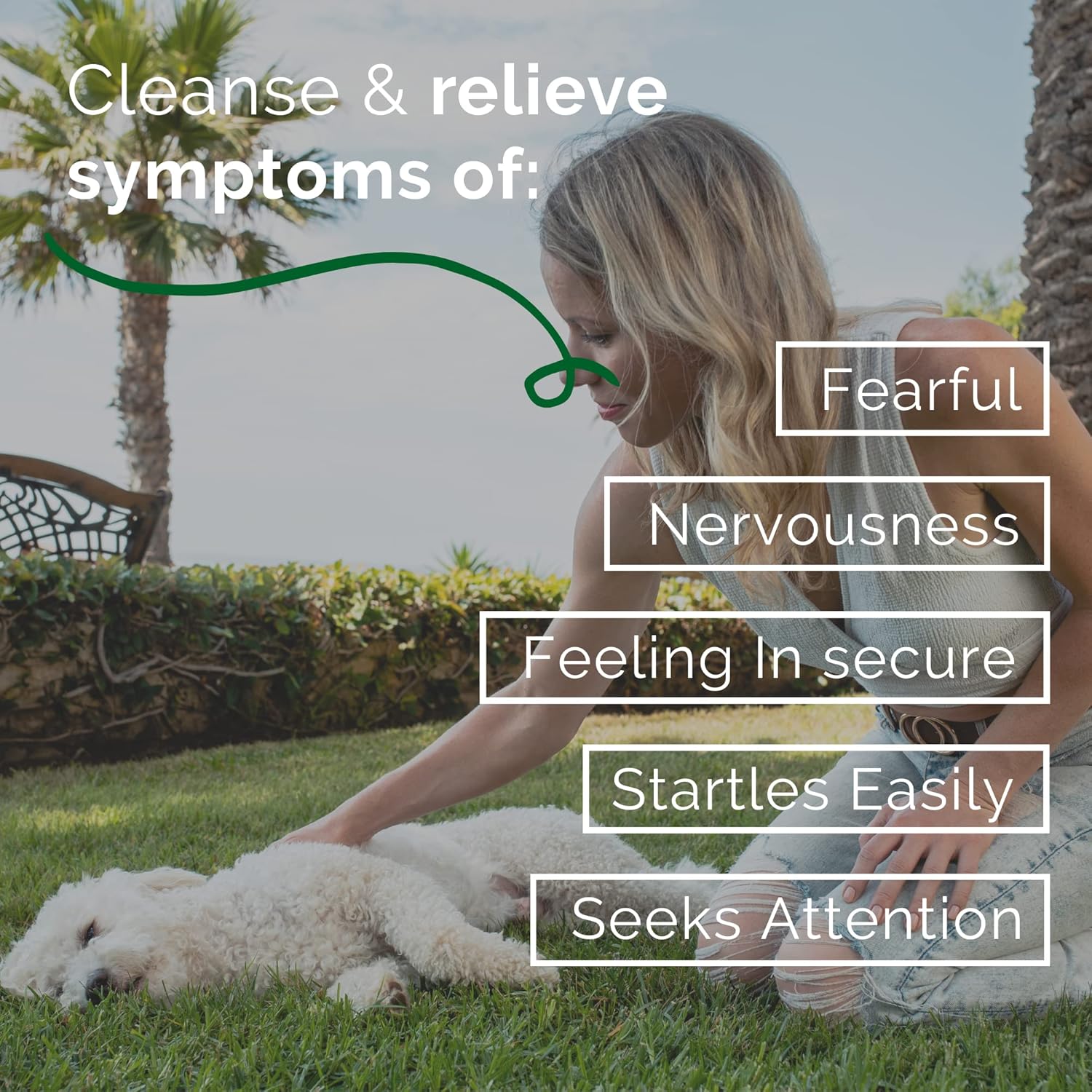 Natural Homeopathic Remedy for Pets' Abandonment & Separation Anxiety - Supports Healthy Independence, Fears, and Obsessive Behaviors in Dogs, Cats, and Animals