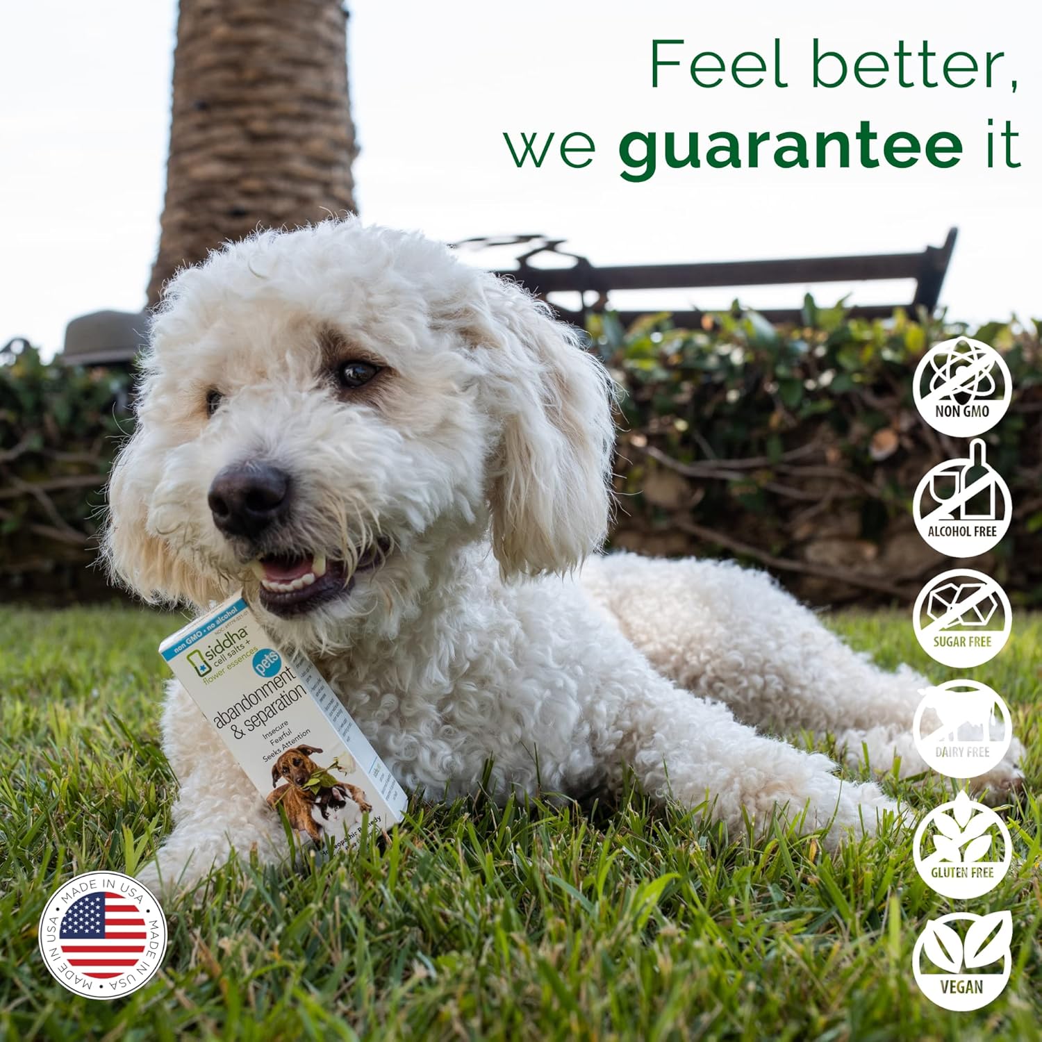 Natural Homeopathic Remedy for Pets' Abandonment & Separation Anxiety - Supports Healthy Independence, Fears, and Obsessive Behaviors in Dogs, Cats, and Animals