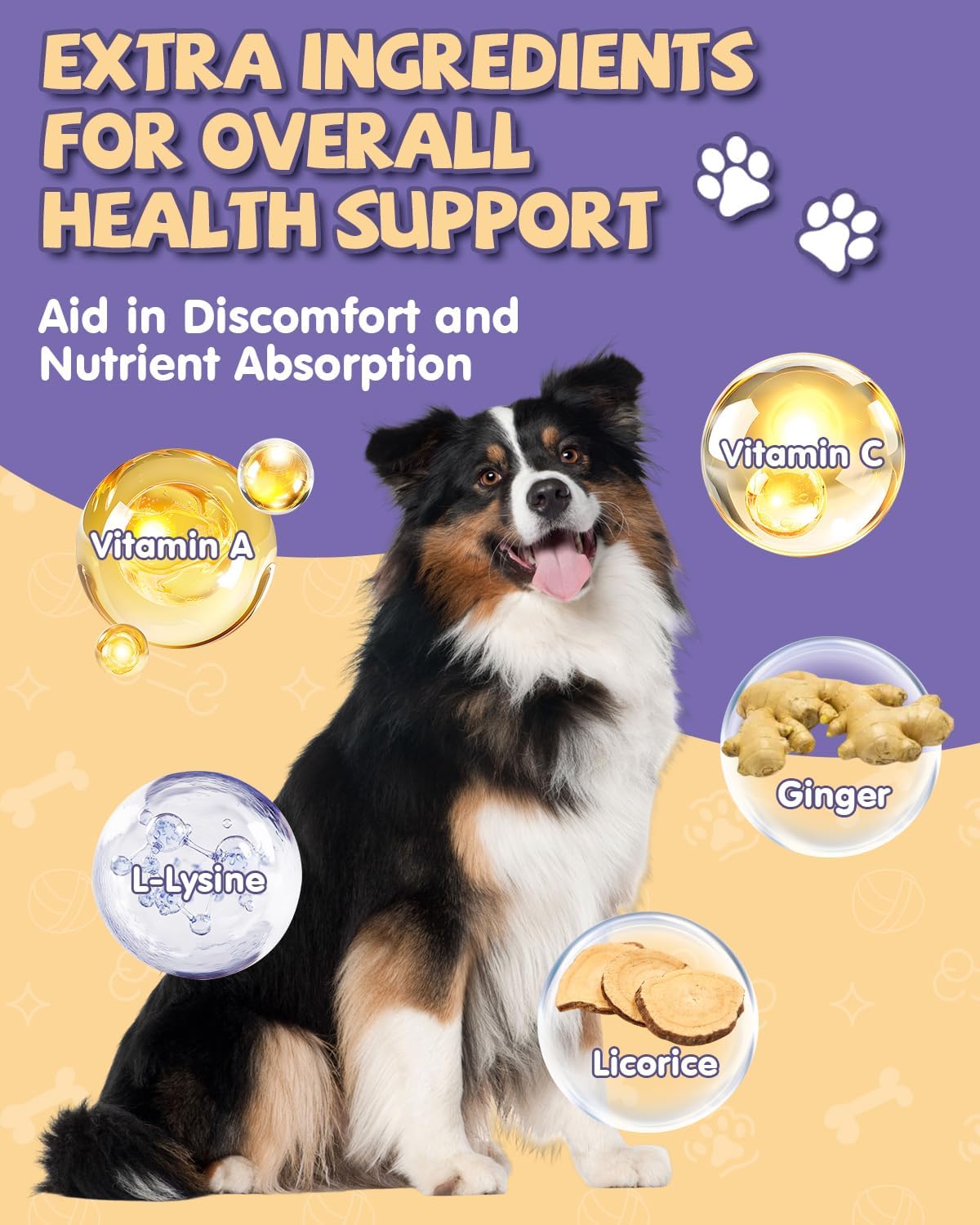 Natural Kennel Cough Drops for Dogs with Herbal Ingredients, Vitamins, and Lysine - Liquid Supplement for Canine Respiratory Relief - 2 Fl Oz