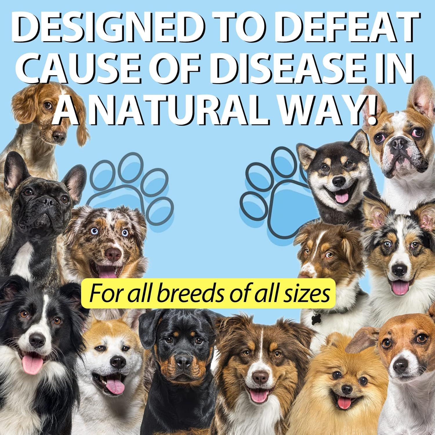 Natural Kennel Cough Treatment for Dogs - Gentle Relief for Dog Congestion and Allergies