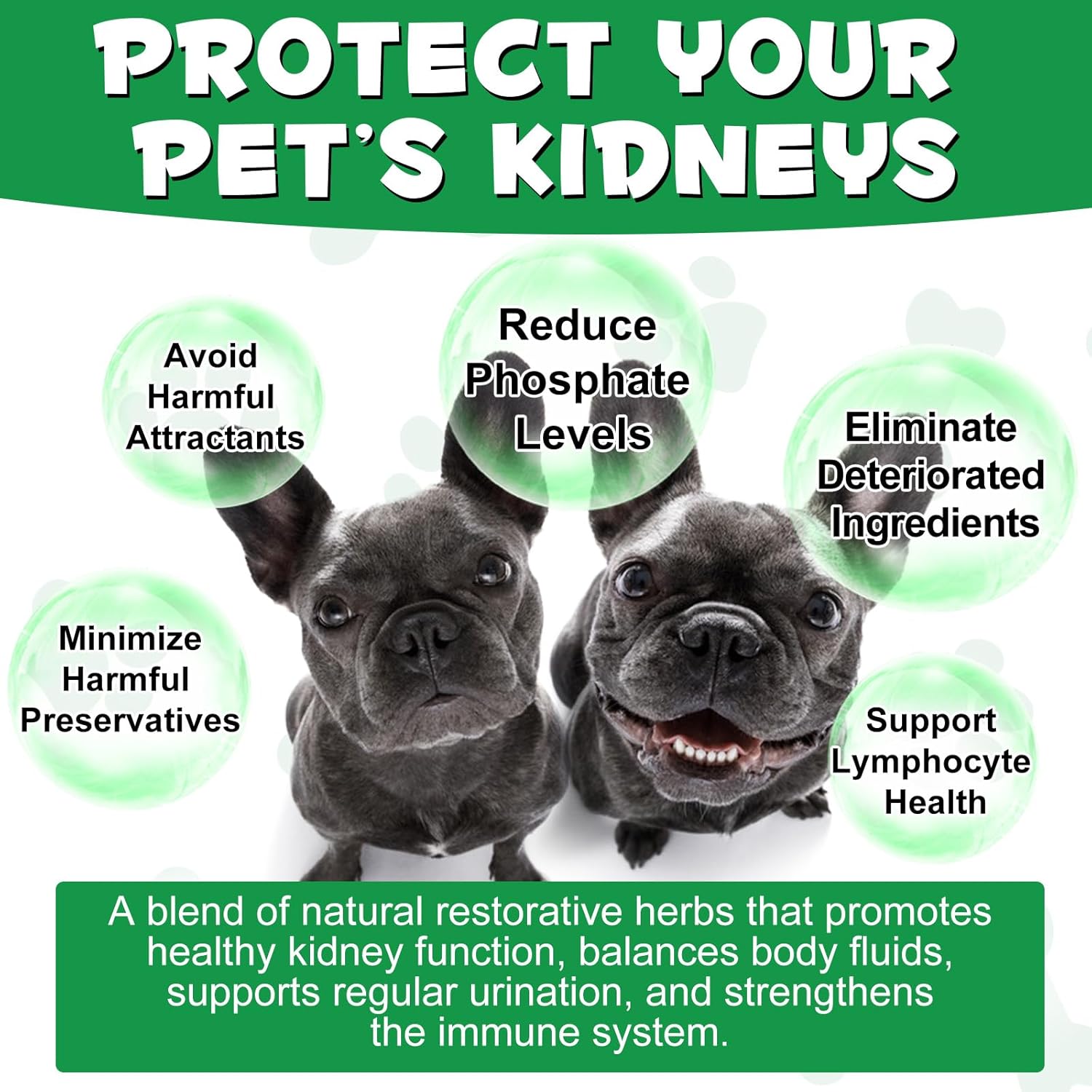 Natural Kidney Support Supplement for Dogs - 60ML Herbal Treats for Immune, Urinary, and Kidney Health, Promotes Regular Urination