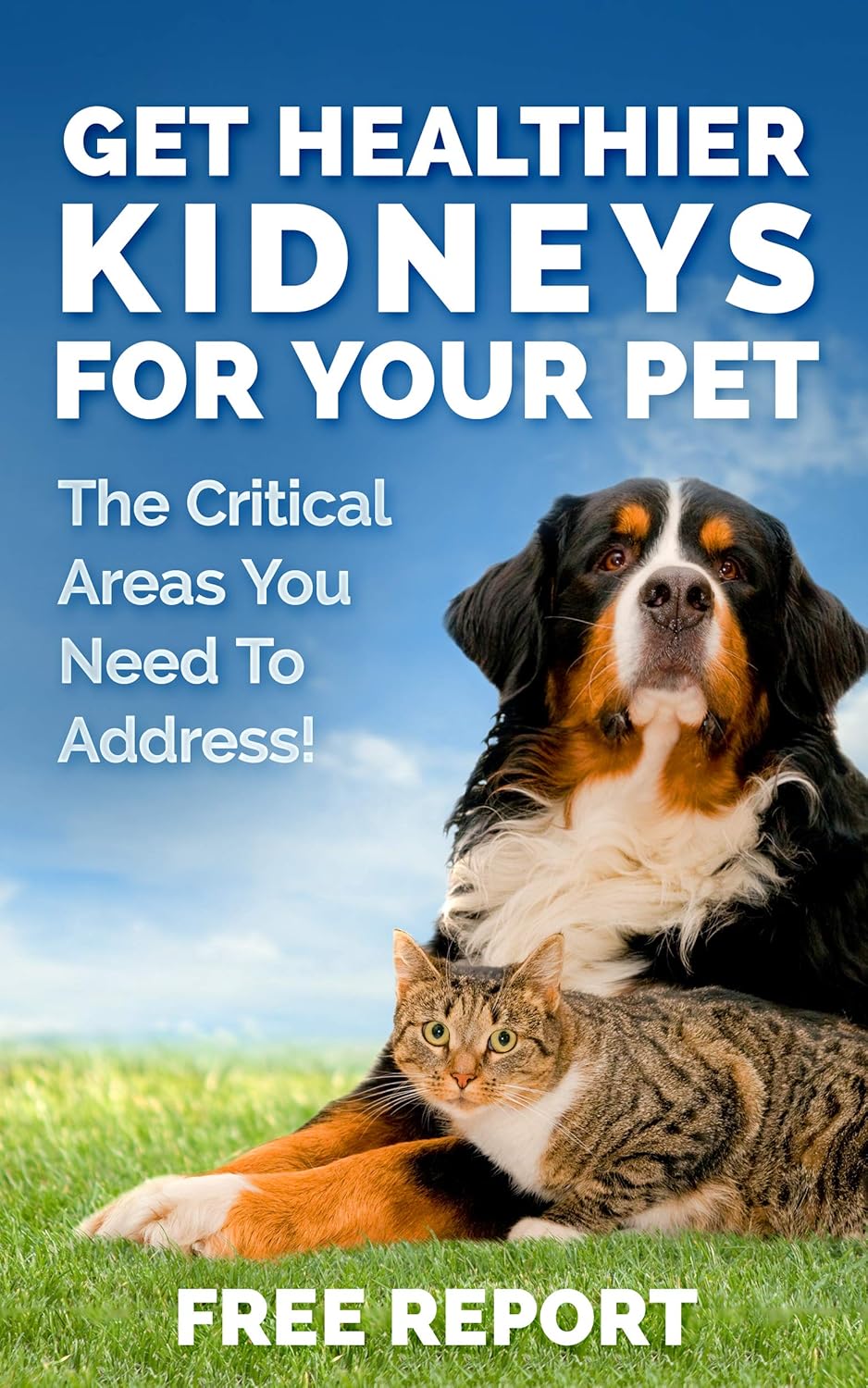 Natural Kidney Support Supplements for Cats and Dogs, Promotes Healthy Kidney Function and Urinary Tract, Essential Pet Health Formula