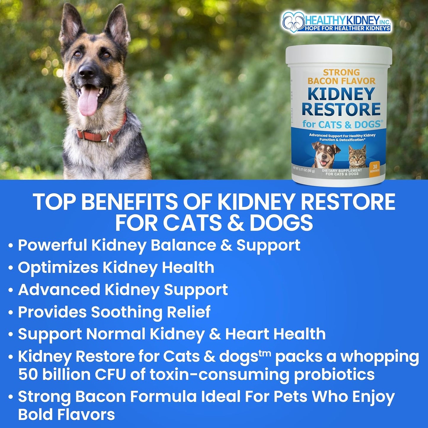 Natural Kidney Support Supplements for Cats and Dogs, Promotes Healthy Kidney Function and Urinary Tract, Essential Pet Health Formula