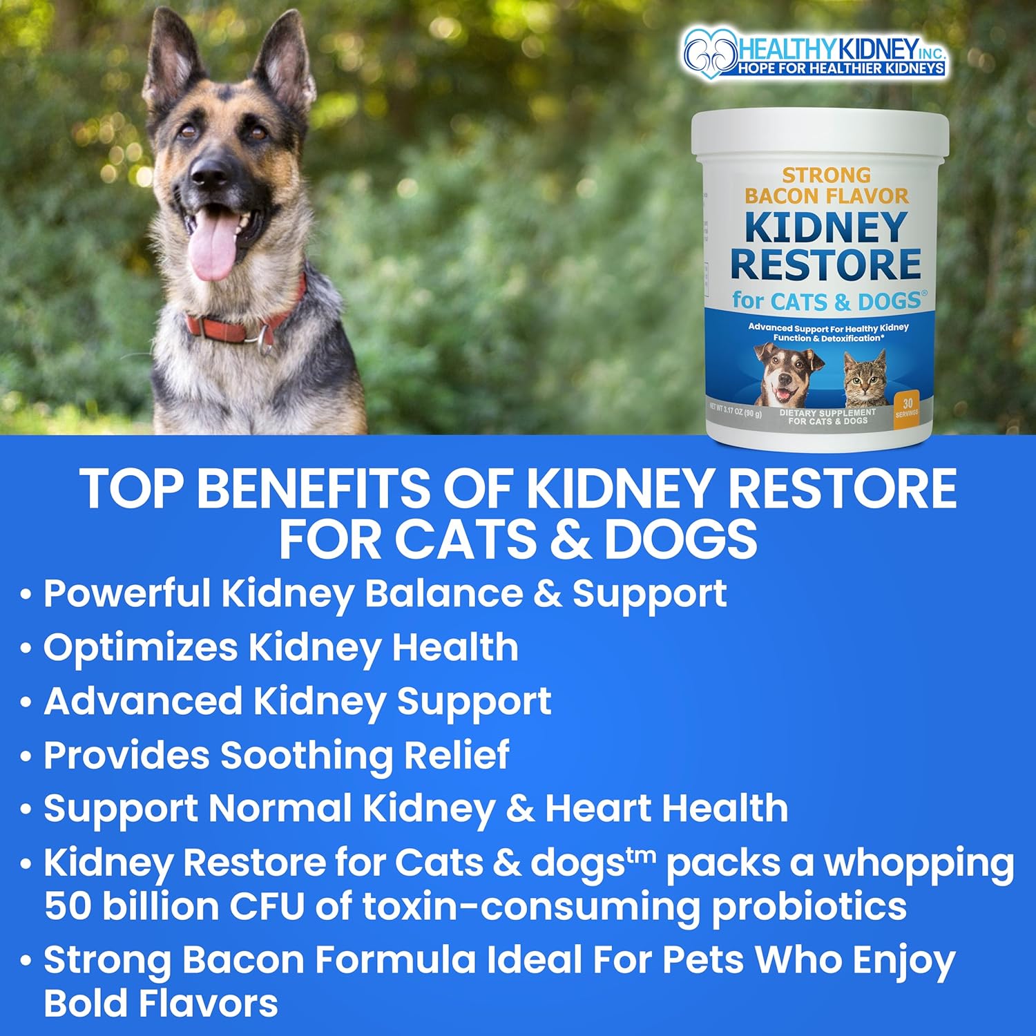 Natural Kidney Support Supplements for Cats and Dogs, Promotes Healthy Kidney Function and Urinary Tract, Essential Pet Health Formula
