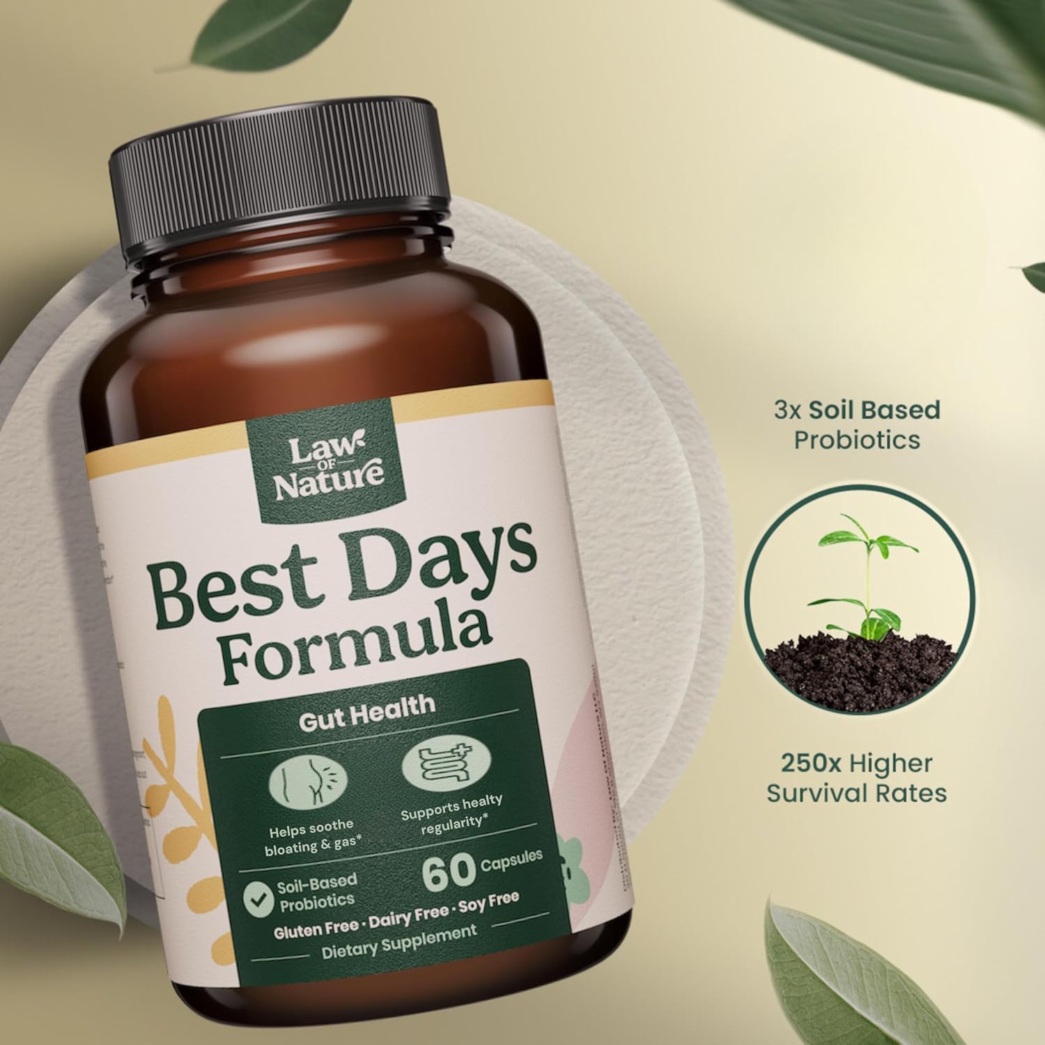 Natural Law Probiotics for Digestive Health & IBS Relief | Spore-Forming, Soil-Based Formula with Prebiotics | IBS Supplement for Leaky Gut Repair, 60 Capsules