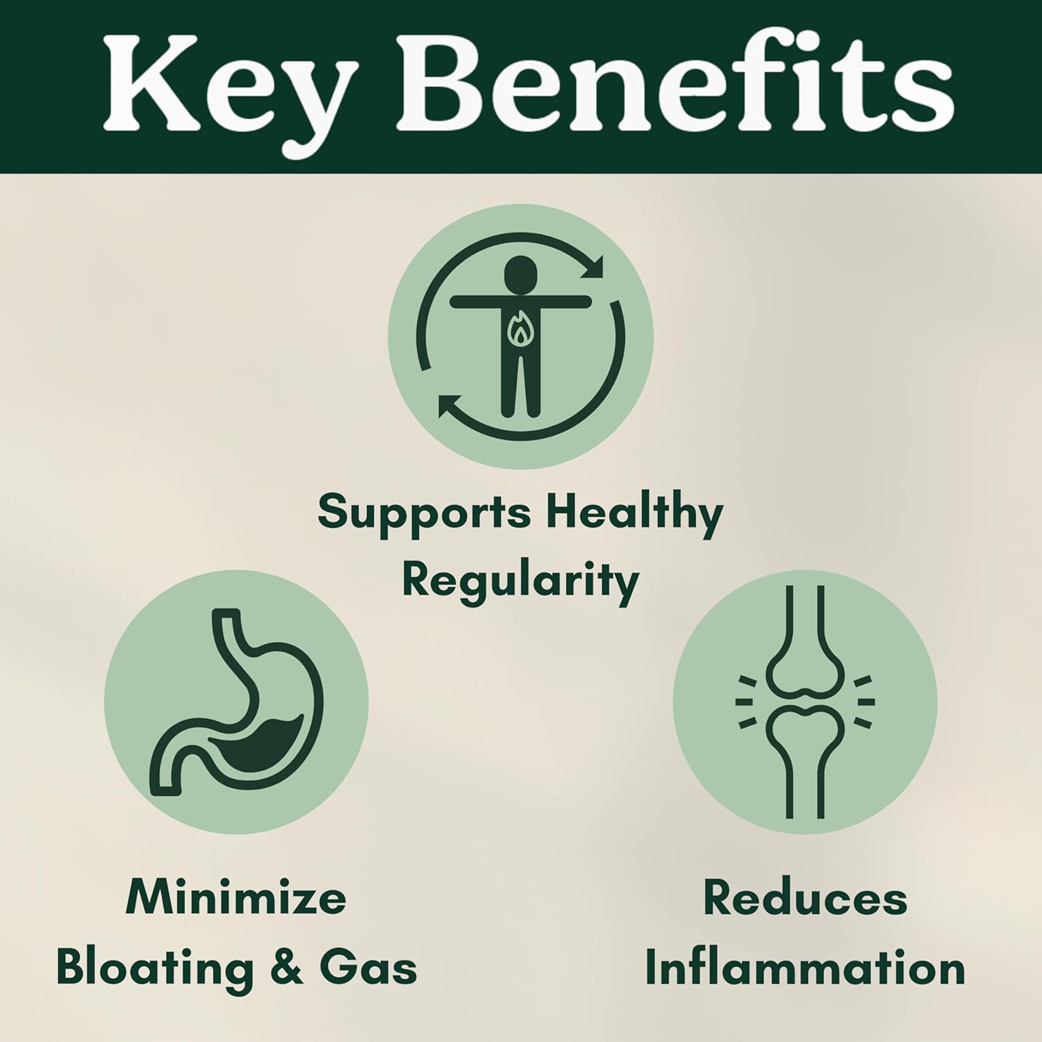 Natural Law Probiotics for Digestive Health & IBS Relief | Spore-Forming, Soil-Based Formula with Prebiotics | IBS Supplement for Leaky Gut Repair, 60 Capsules