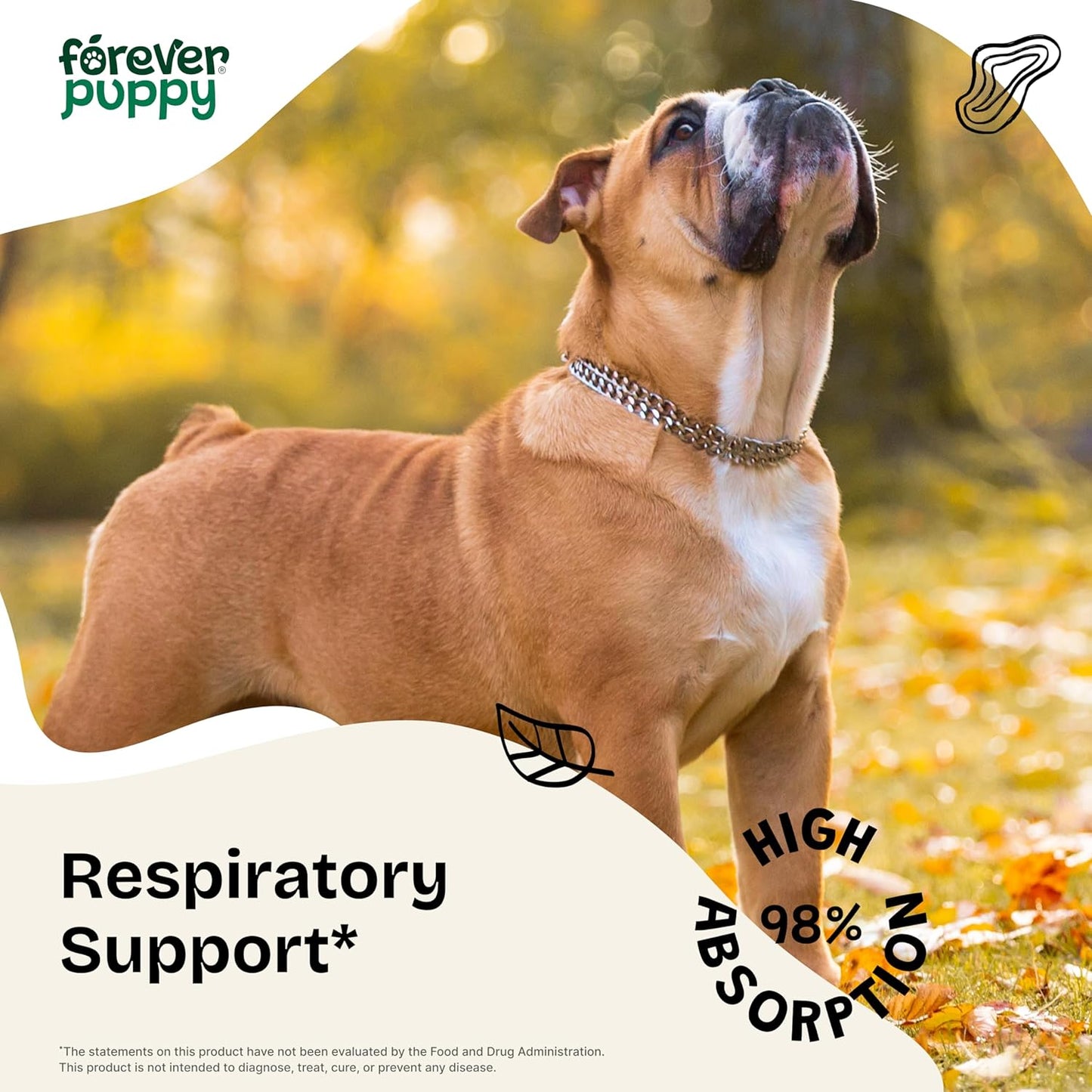 Natural Licorice Root Tincture for Dogs - Respiratory Support - Liquid Dog Vitamins - Lung Detox & Cleanse Supplement - Sugar & Alcohol-Free - 2 oz