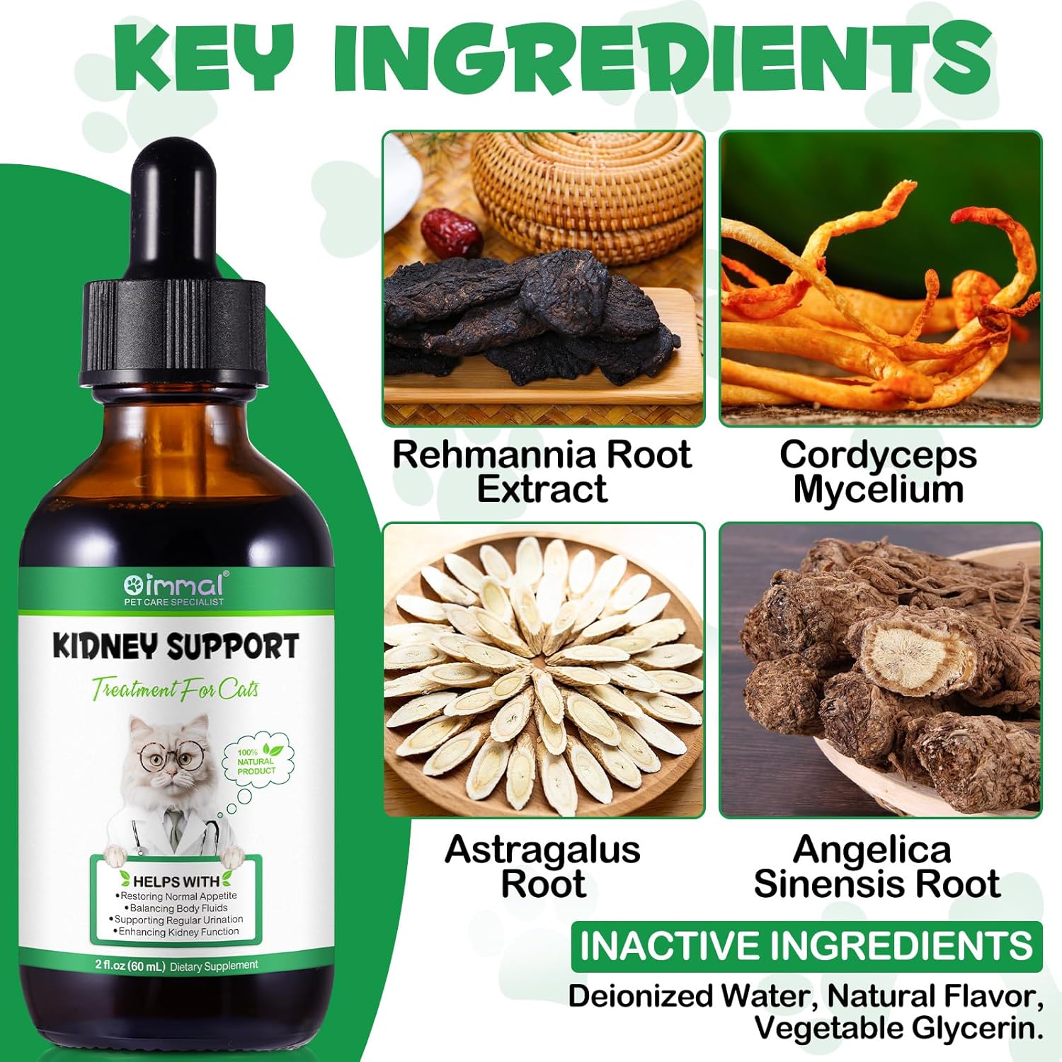 Natural Liver and Kidney Support Supplement for Cats - 60ml Bottle - Herbal Extracts for Balanced Liver and Kidneys Health in Cats