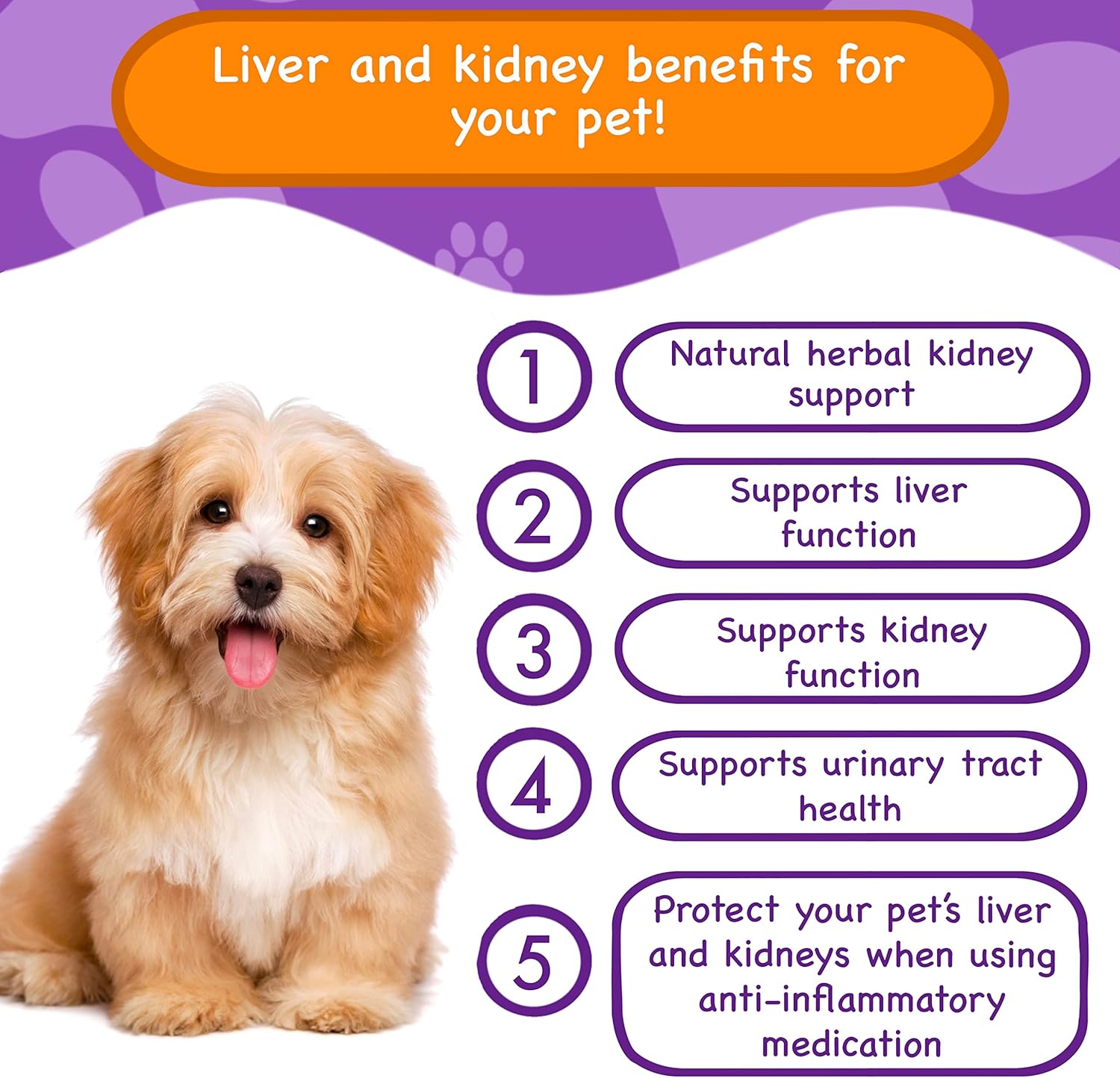Natural Liver & Kidney Support Supplements for Dogs - SAM-E, Silymarin, NMN, CoQ10, Rehmannia, Rhubarb, Cranberry - Pawpuk Paws Anti-Aging Formula for UT Health
