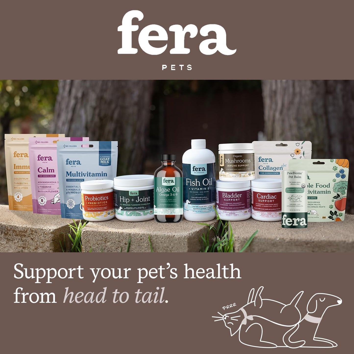 Natural Liver Support Supplement for Dogs & Cats - Veterinarian Formulated - Promotes Healthy Liver Function & Detox - Milk Thistle, Zinc, Choline - 60 Scoops