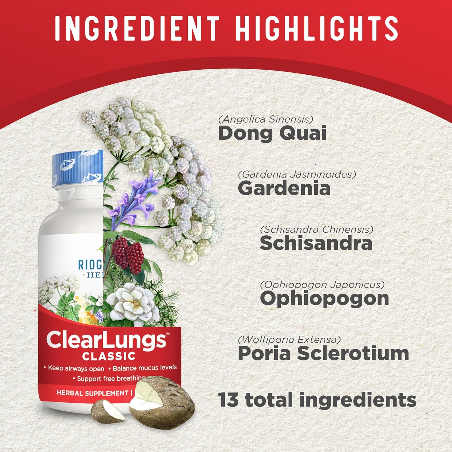 Natural Lung and Nasal Health Supplement - Herbal Formula for Respiratory and Immune Support (60 Caps)