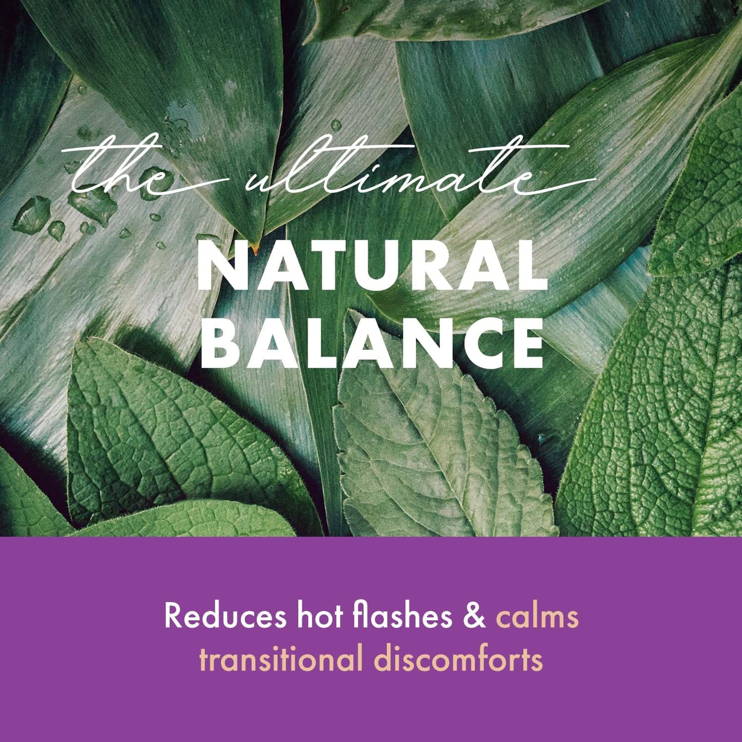 Natural Menopause Relief Supplement for Women - 60 Capsules by PURE ESSENCE LABS - Promotes Hormone Balance, Reduces Hot Flashes, Mood Swings, & Night Sweats
