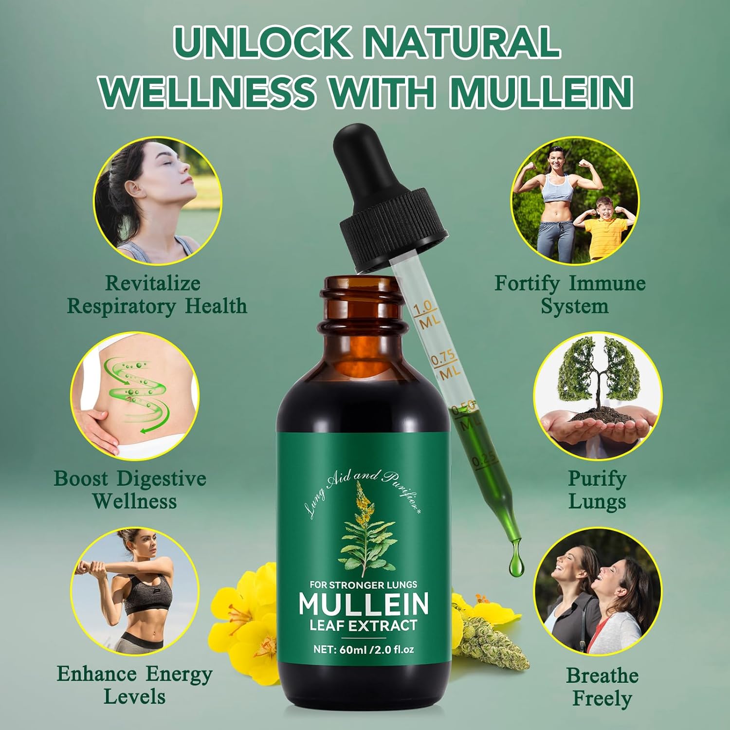 Natural Mullein Leaf Extract for Healthy Breathing & Respiratory Support - Lung Aid & Gentle Cleanse - Fast-Absorbing Vegetarian Formula - 1 Month Supply - 60ml