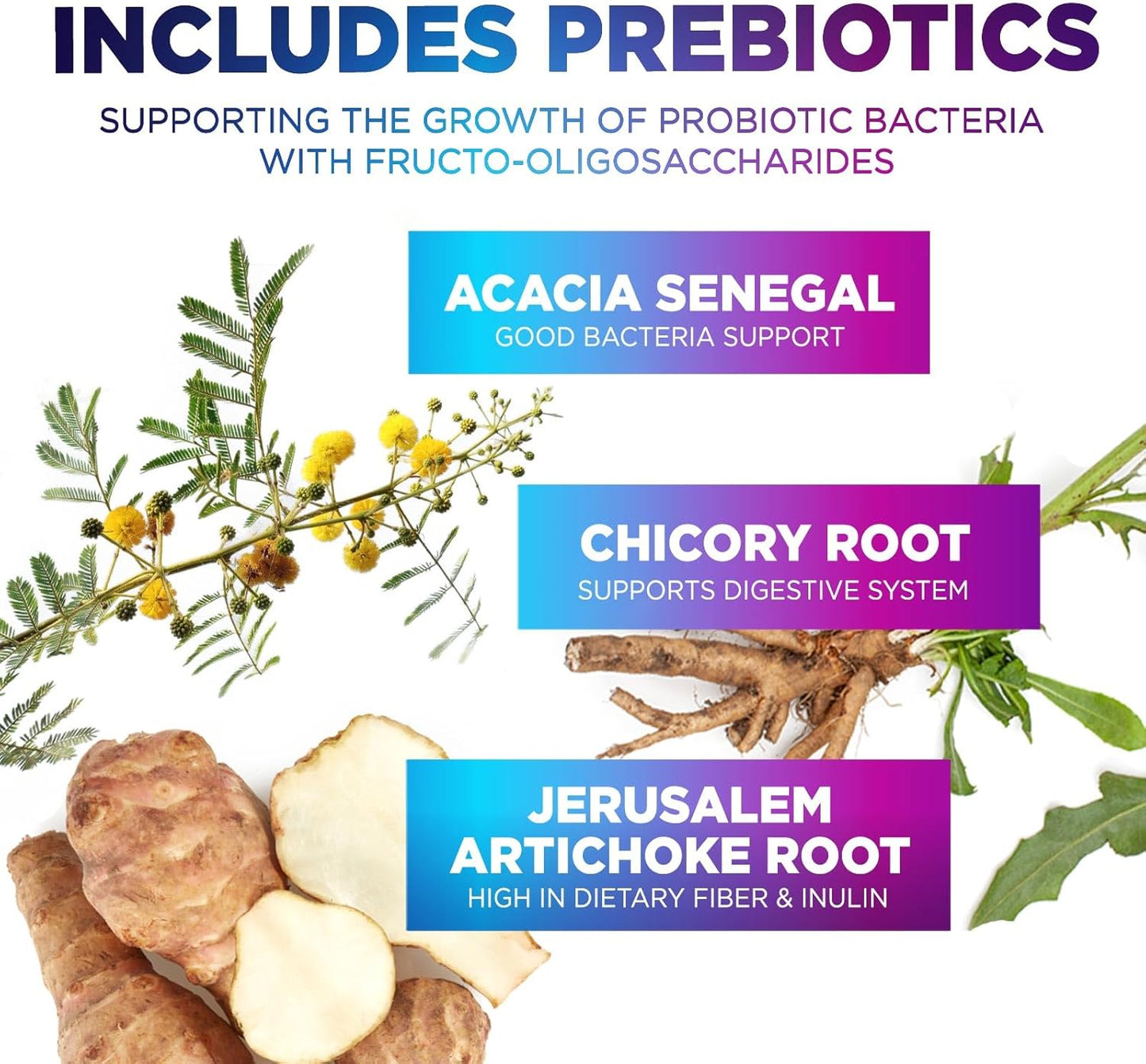 Natural Peak 60 Billion CFU Probiotic Supplement with Prebiotics for Gut Health - 10 Strains + 4 Prebiotics, Digestive Nutritional Support for Men & Women, 120 Capsules
