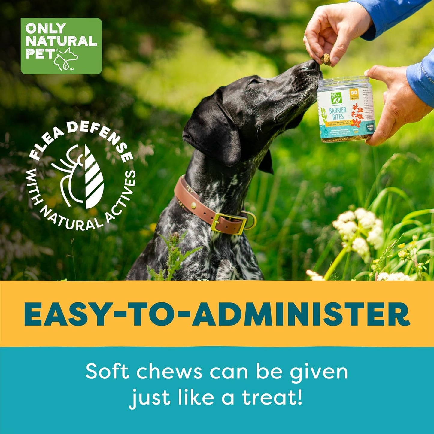 Natural Pet EasyDefense Barrier Bites Soft Flea Chews for Dogs - Flea & Tick Defense, Immune Boost - 90 Bacon Flavored Soft Chews