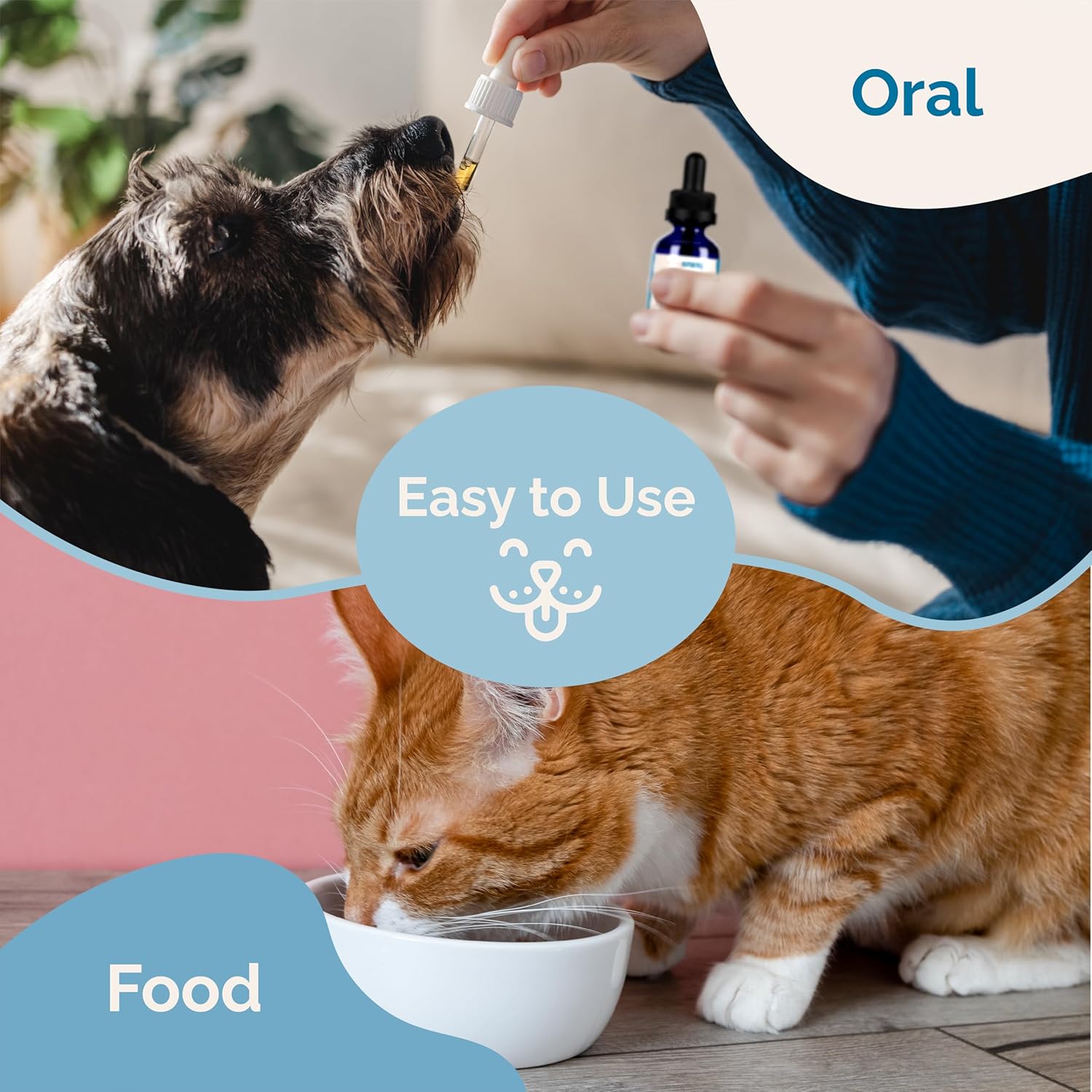 Natural Pet Supplement Promotes Energy, Appetite & Immune Health in Dogs & Cats