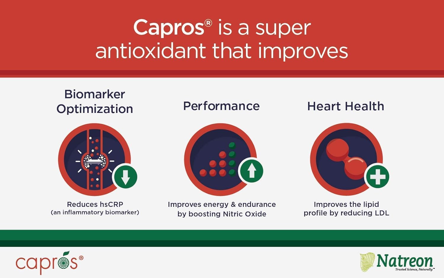 Natural Polyphenol Antioxidant Supplement for Heart Health - NatureCity True-Capros Amla Fruit Extract (60 Veggie Capsules) Vegan & Non-GMO