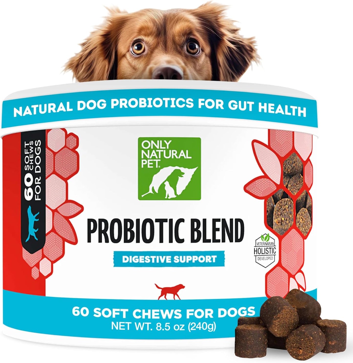 Natural Probiotic Supplement for Dogs and Cats - Supports Digestive Health, Enzyme Formula, Puppy & Canine Soft Chews, Stomach Relief & Gas Aid, 60 Count