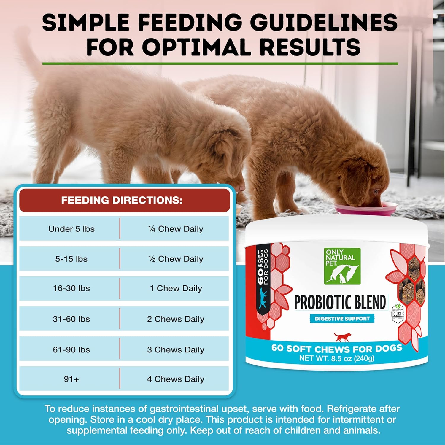 Natural Probiotic Supplement for Dogs and Cats - Supports Digestive Health, Enzyme Formula, Puppy & Canine Soft Chews, Stomach Relief & Gas Aid, 60 Count