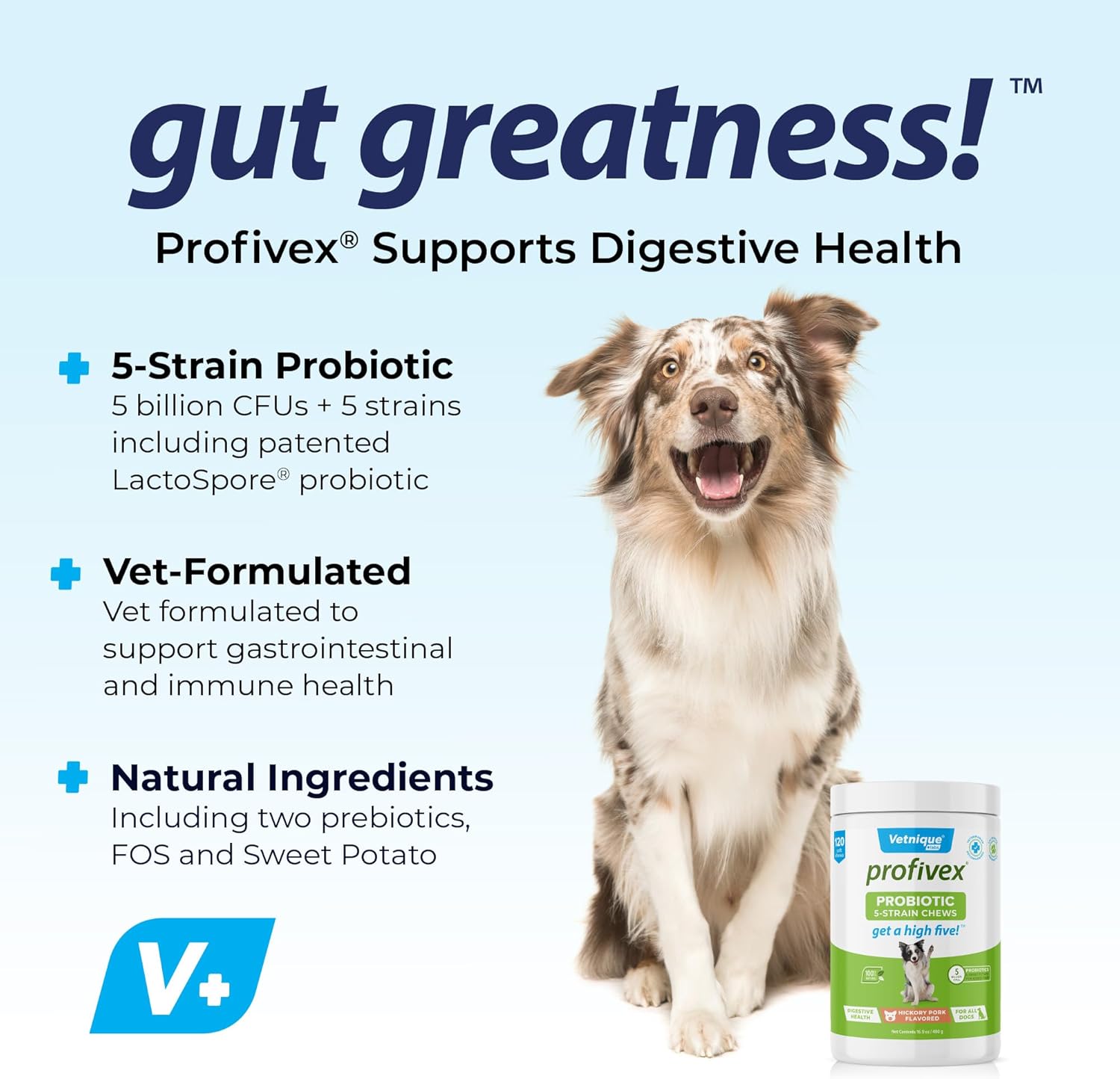 Natural Probiotic Supplements for Dogs - Vetnique Labs Profivex Probiotics with 5 Strains & Prebiotics - Digestive Health Chews & Powder (120ct)
