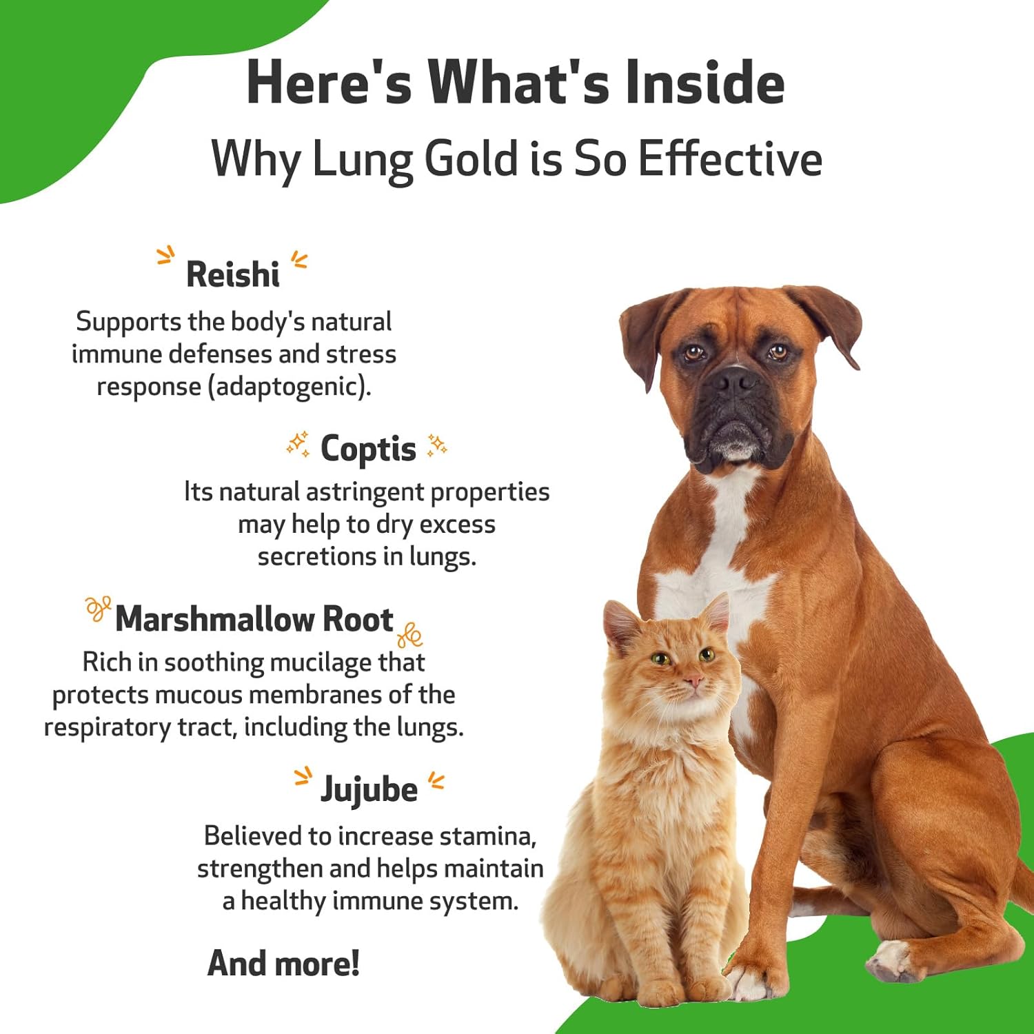 Natural Vet-Formulated Lung & Respiratory Support for Dogs & Cats - Herbal Supplement for Easy Breathing and Open Airways - 4 oz (18 ml)