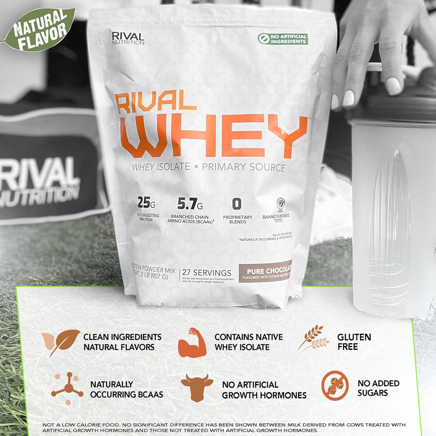 Naturally Flavored Chocolate Rival Whey Protein Powder - 2lb