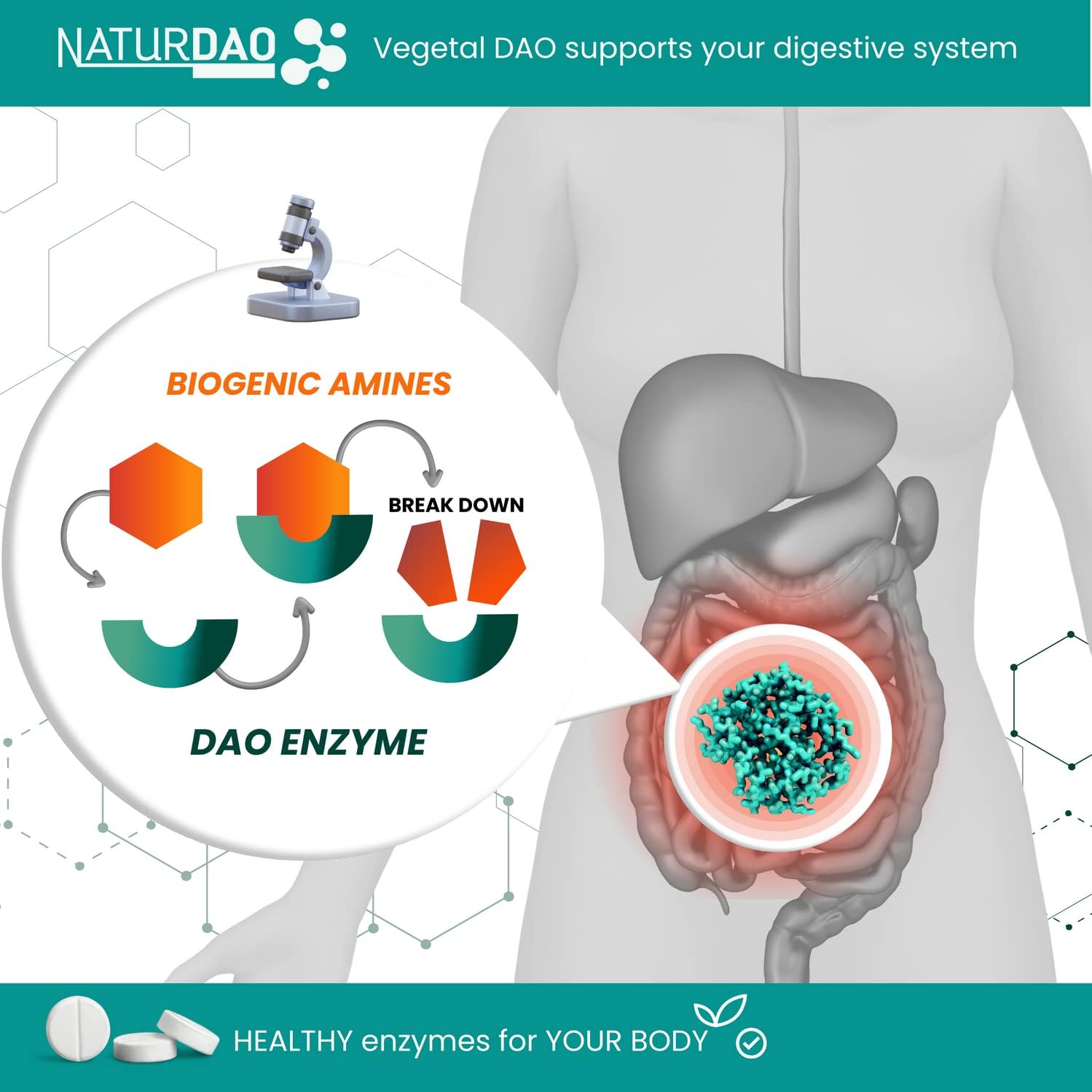 NaturDao LegumActive Enzyme Supplement - 1,000,000 HDU - DAO Histamine Block - Diamine Oxidase - Food Intolerance - 60 Tablets