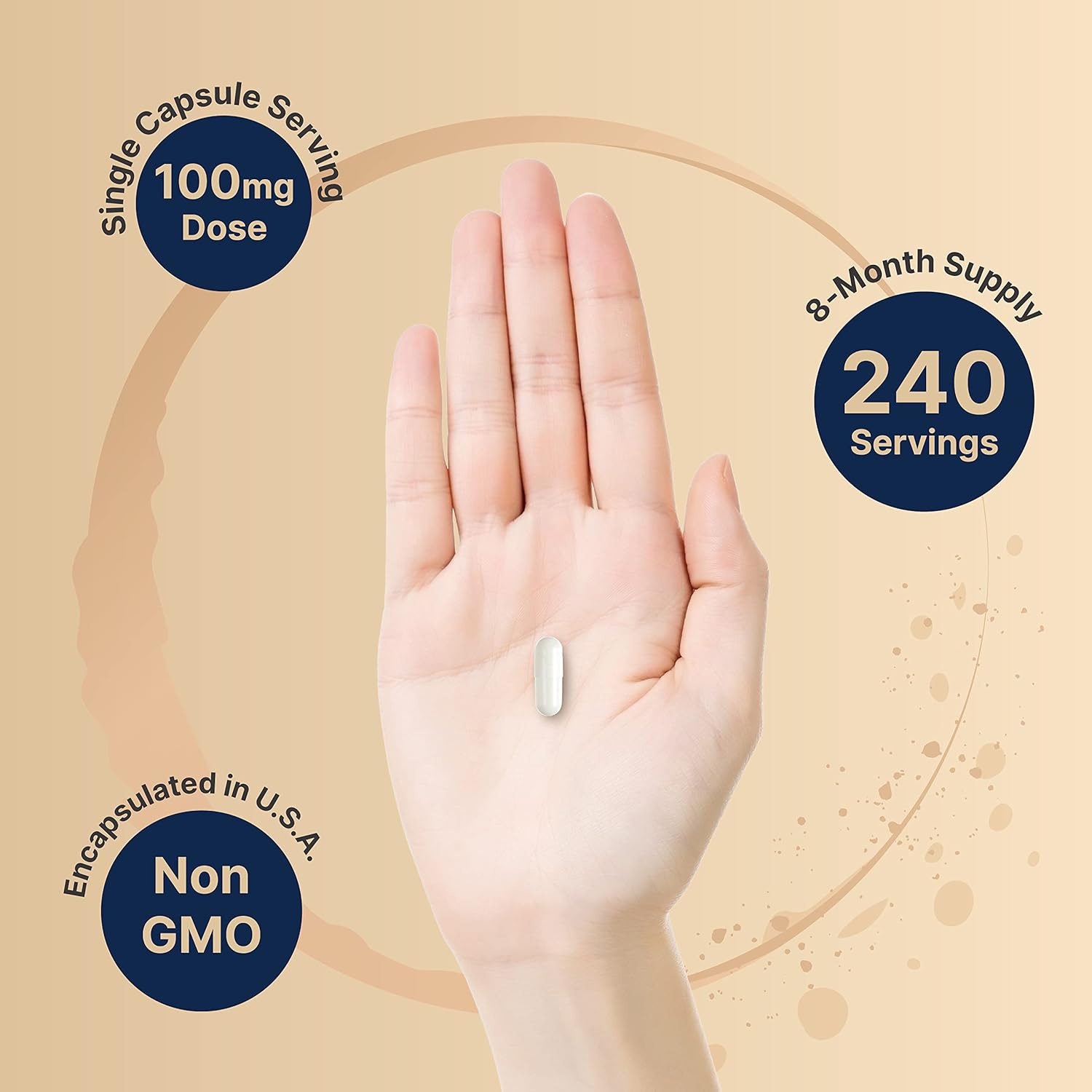 NatureBell DHEA 100mg Capsules - Extra Strength Micronized Grade for Energy, Metabolism, and Healthy Aging - Non-GMO Made in USA