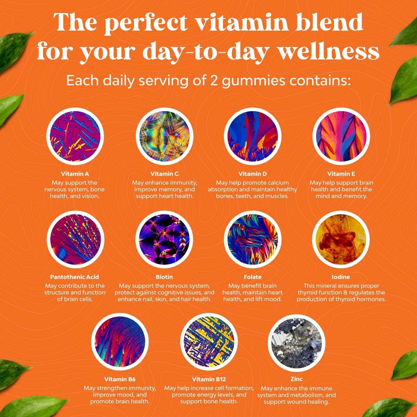 Natures Craft Adult Multivitamin Gummies - Vitamin D, A, C, E, B12, Zinc, Biotin - Energy & Immunity Support - Non-GMO, Gluten Free, Halal - 30 Count