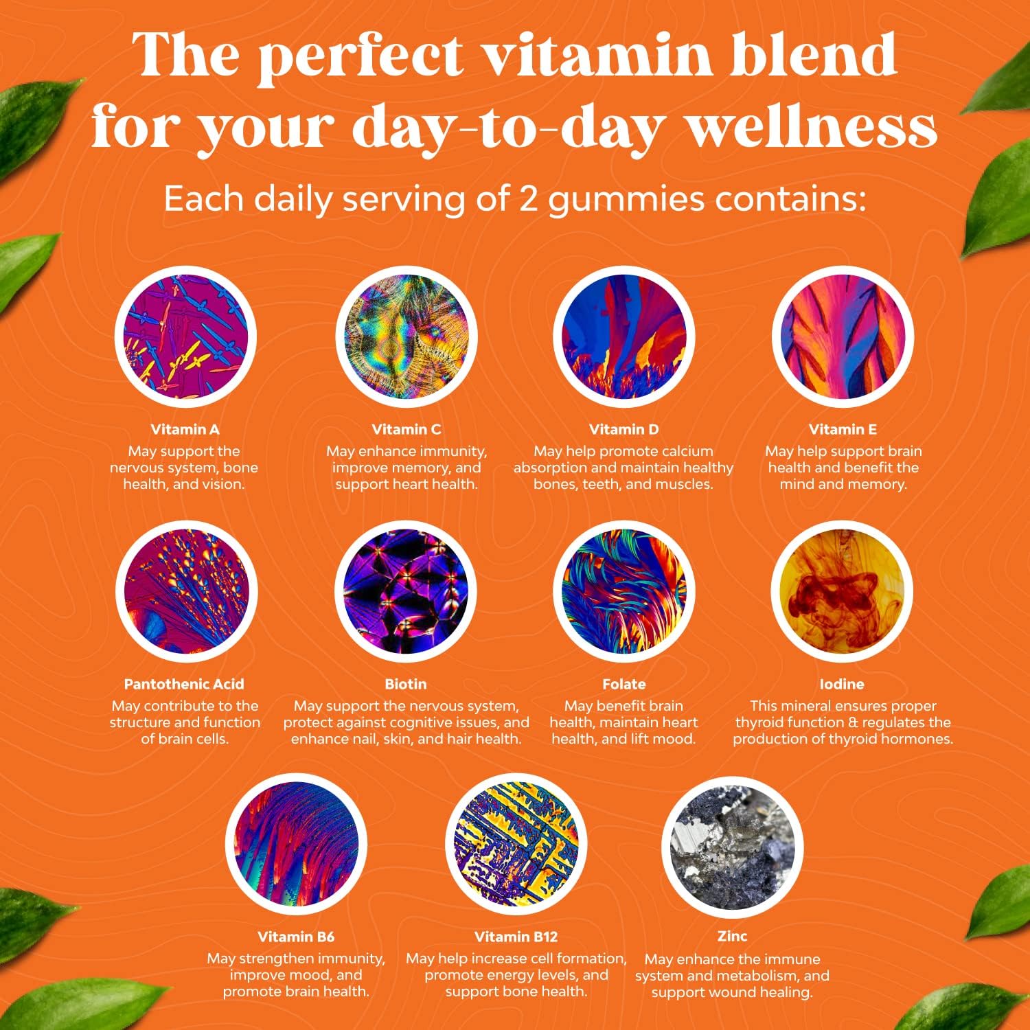 Natures Craft Adult Multivitamin Gummies - Vitamin D, A, C, E, B12, Zinc, Biotin - Energy & Immunity Support - Non-GMO, Gluten Free, Halal - 30 Count