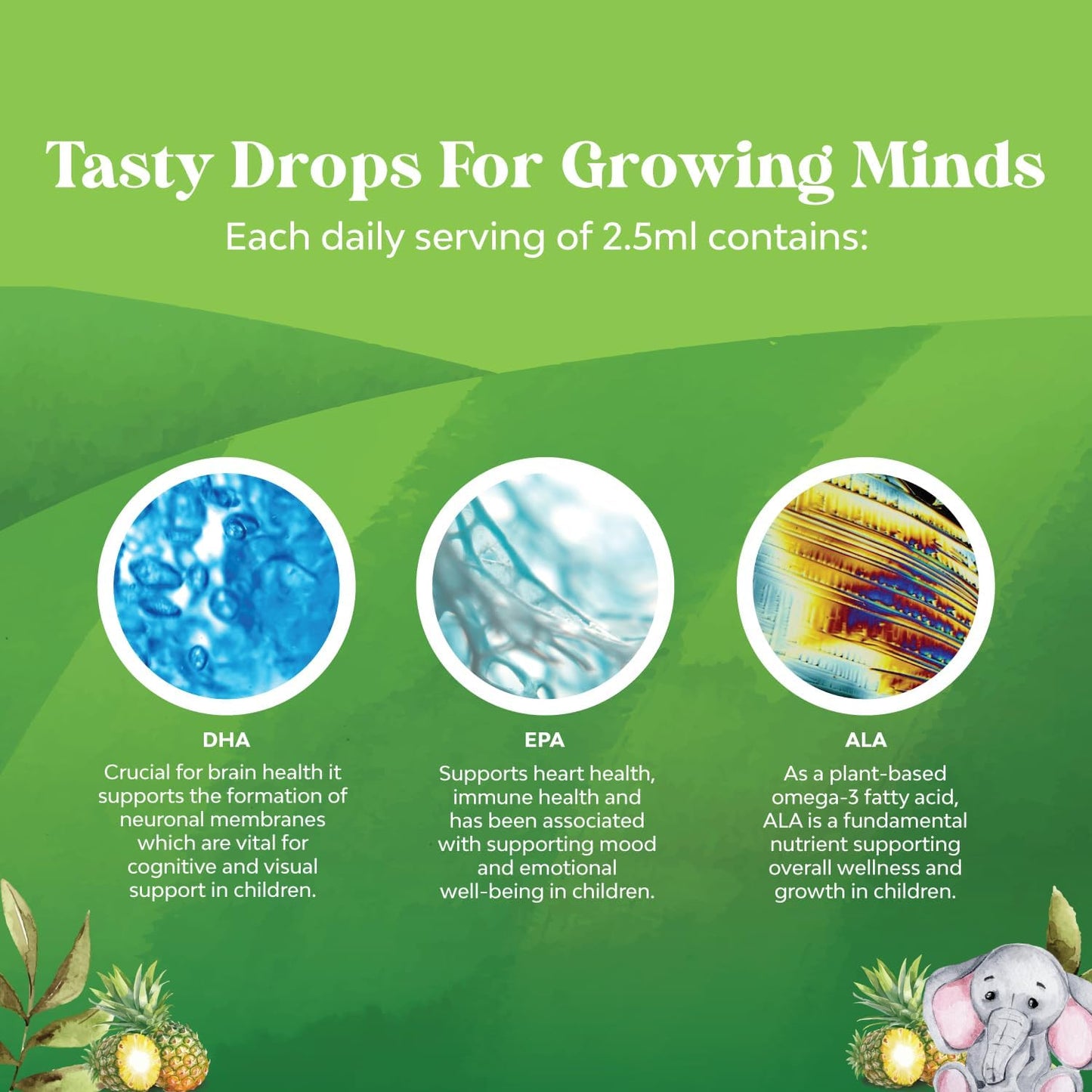 Natures Craft Kids DHA Omega 3 Drops - Vegan Liquid Supplement for Brain, Immunity & Vision - Nutritional Support for Healthy Nervous System - 2 Fl Oz