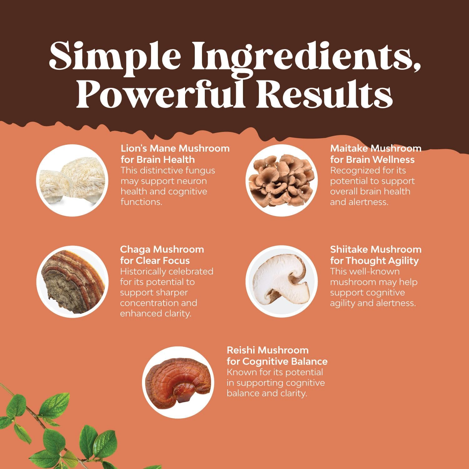 Natures Craft Mushroom Complex Capsules - Lions Mane, Reishi, Chaga, Maitake & Shiitake Blend for Brain Health, Memory & Focus - Nootropic Supplement - 30 Capsules