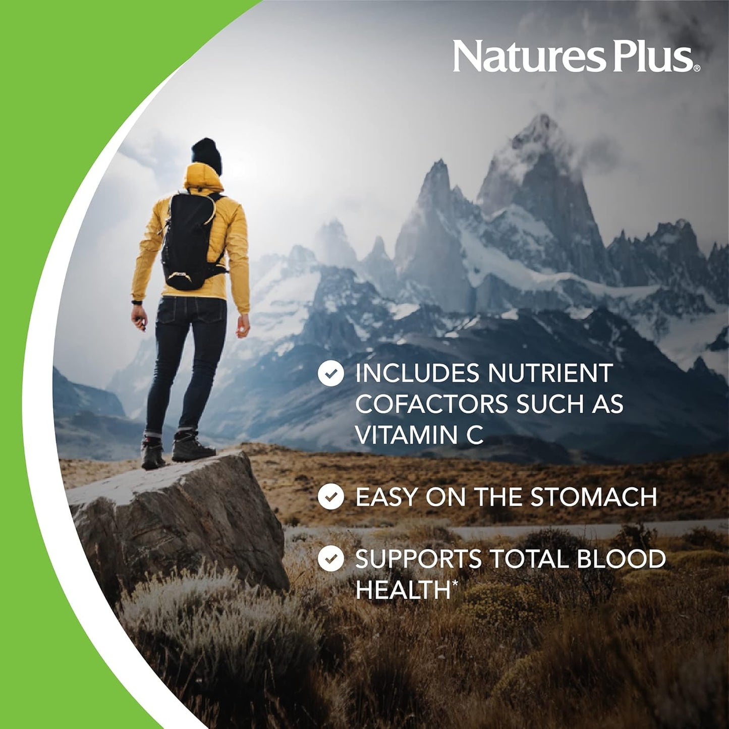 Natures Plus Hema-Plex Iron Tablets - 85mg Slow-Release Chelated Iron with Vitamin C - Vegan & Gluten Free - Total Blood Health - 10 Servings