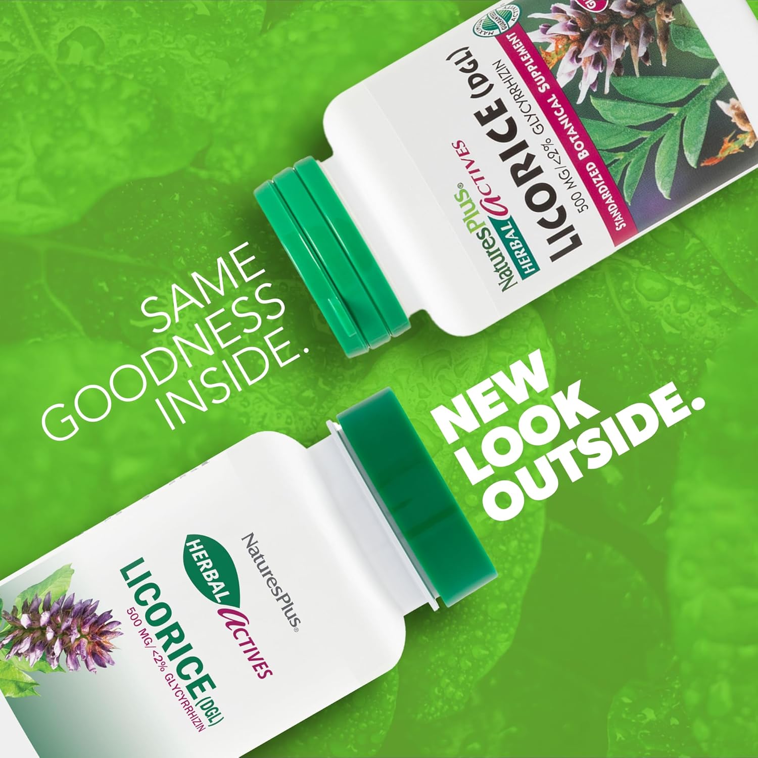 Natures Plus Herbal Actives Licorice (DGL) Capsules - 500mg, 60 Vegan Supplements - Vegetarian, Gluten-Free - 60 Servings