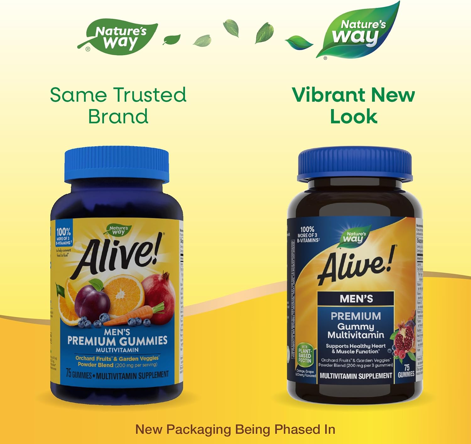Nature's Way Alive! Men's Premium Gummy Multivitamin with Full B-Vitamin Complex - 75 Gummies, Supports Heart & Muscle Health, Orange, Grape, and Cherry Flavored