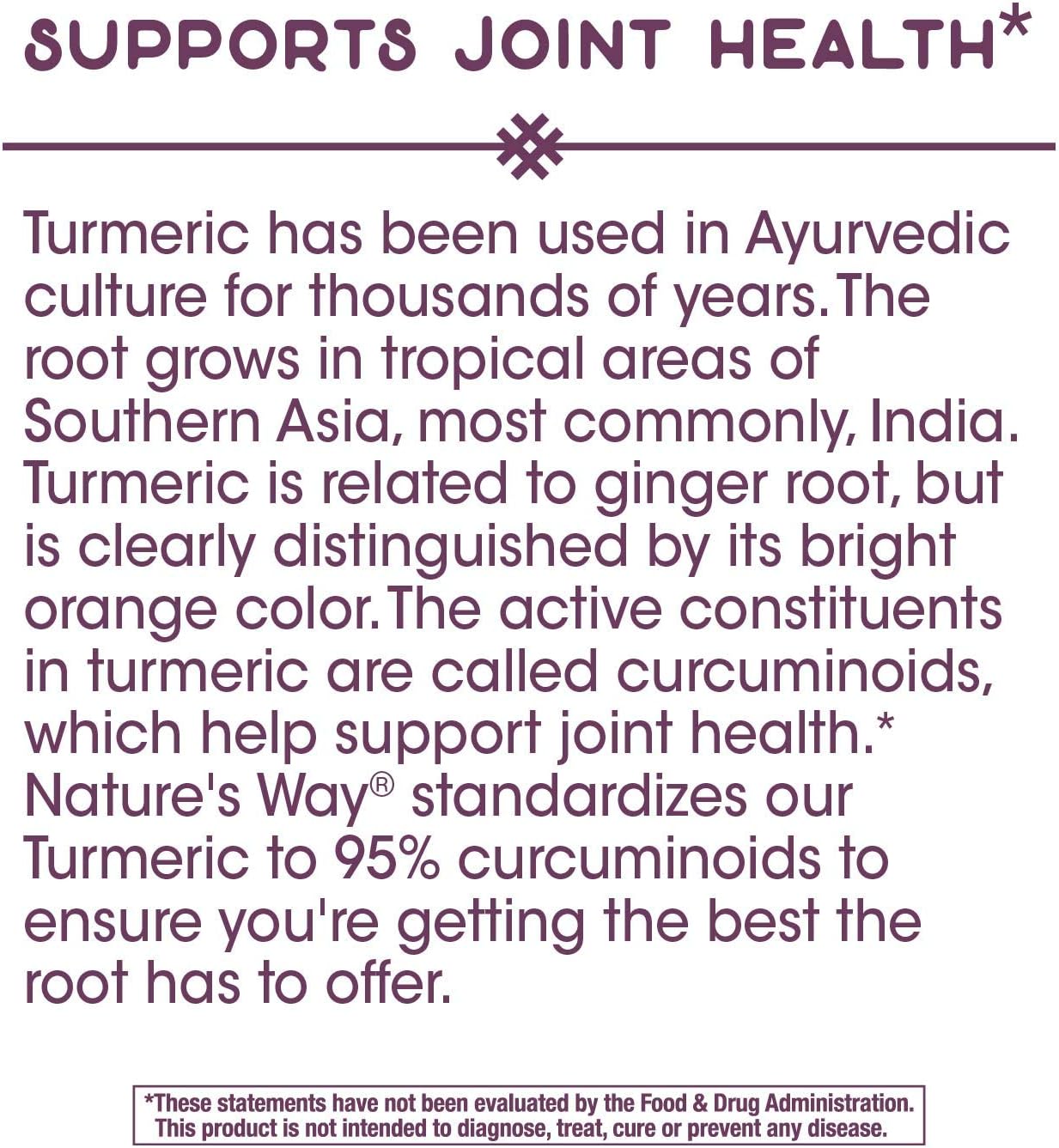 Nature's Way Premium Turmeric Extract - Max Potency 95% Curcuminoids - 750mg - 60 Vegan Capsules (2 Pack)