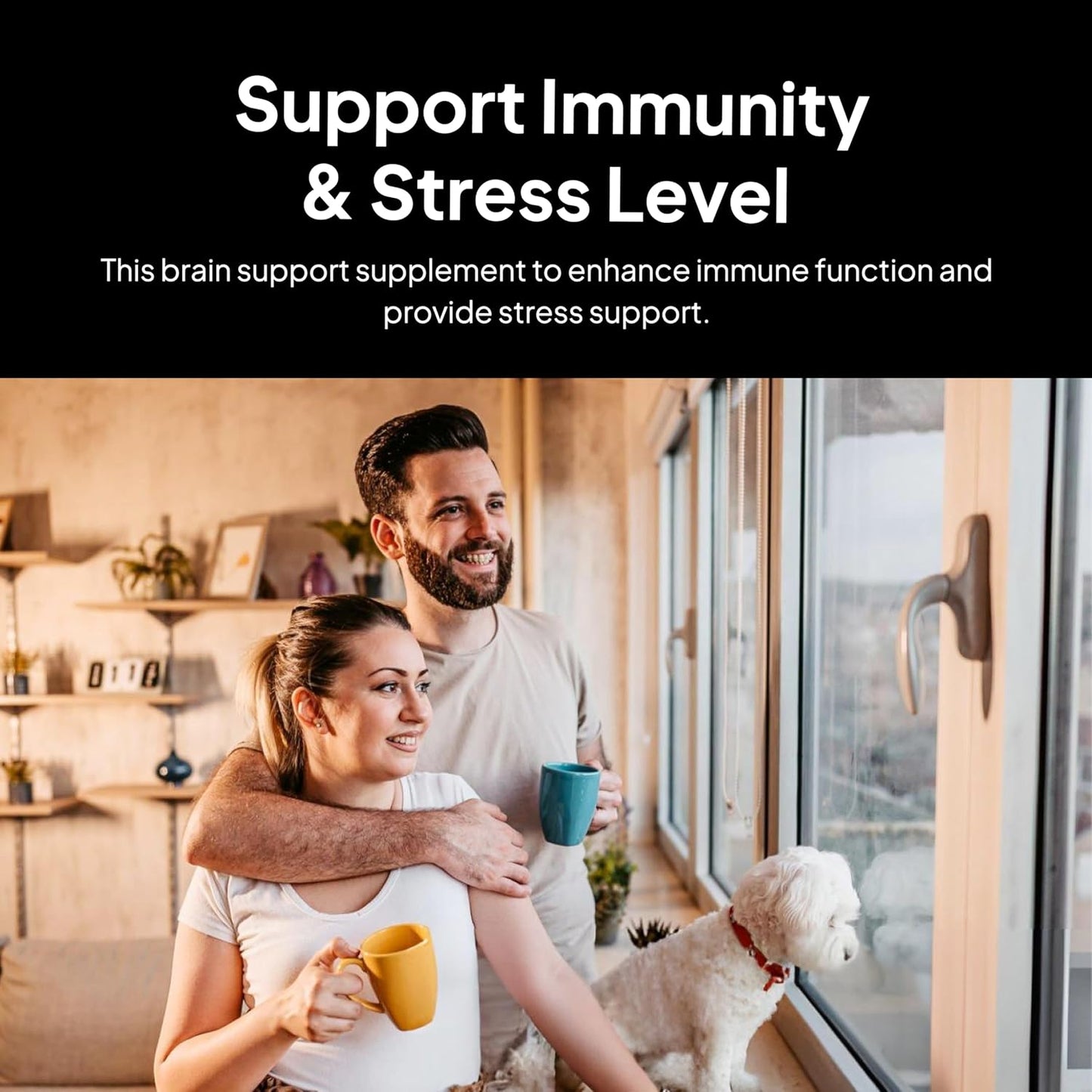 Naturopath Formulated Brain Support Supplement with Immunity & Stress Benefits - Ginkgo Leaf, Gotu Kola, Astragalus Root - 90 Capsules