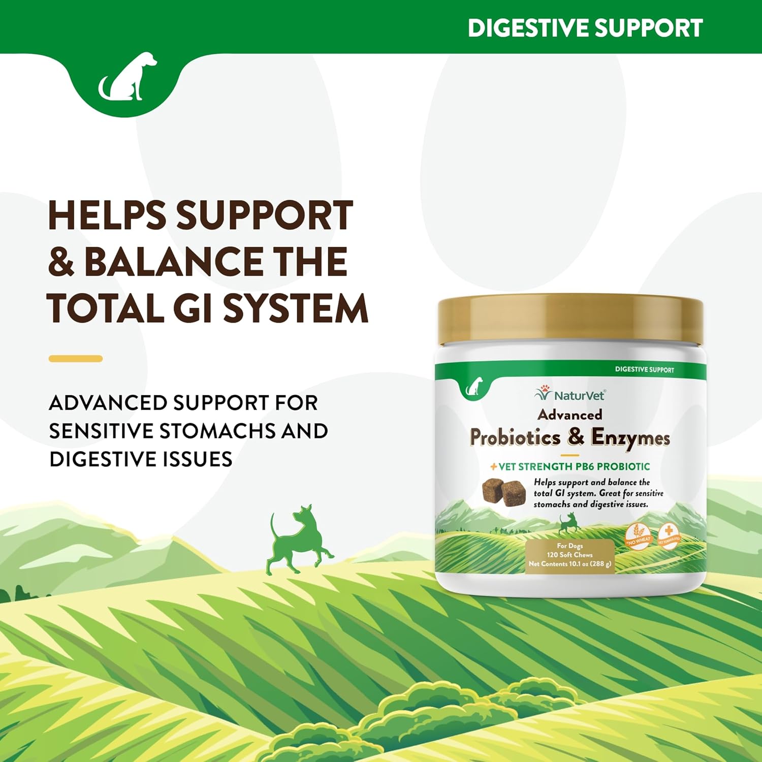 NaturVet Advanced Probiotic and Enzyme Supplement for Dogs, 120 Soft Chews for Digestive Health