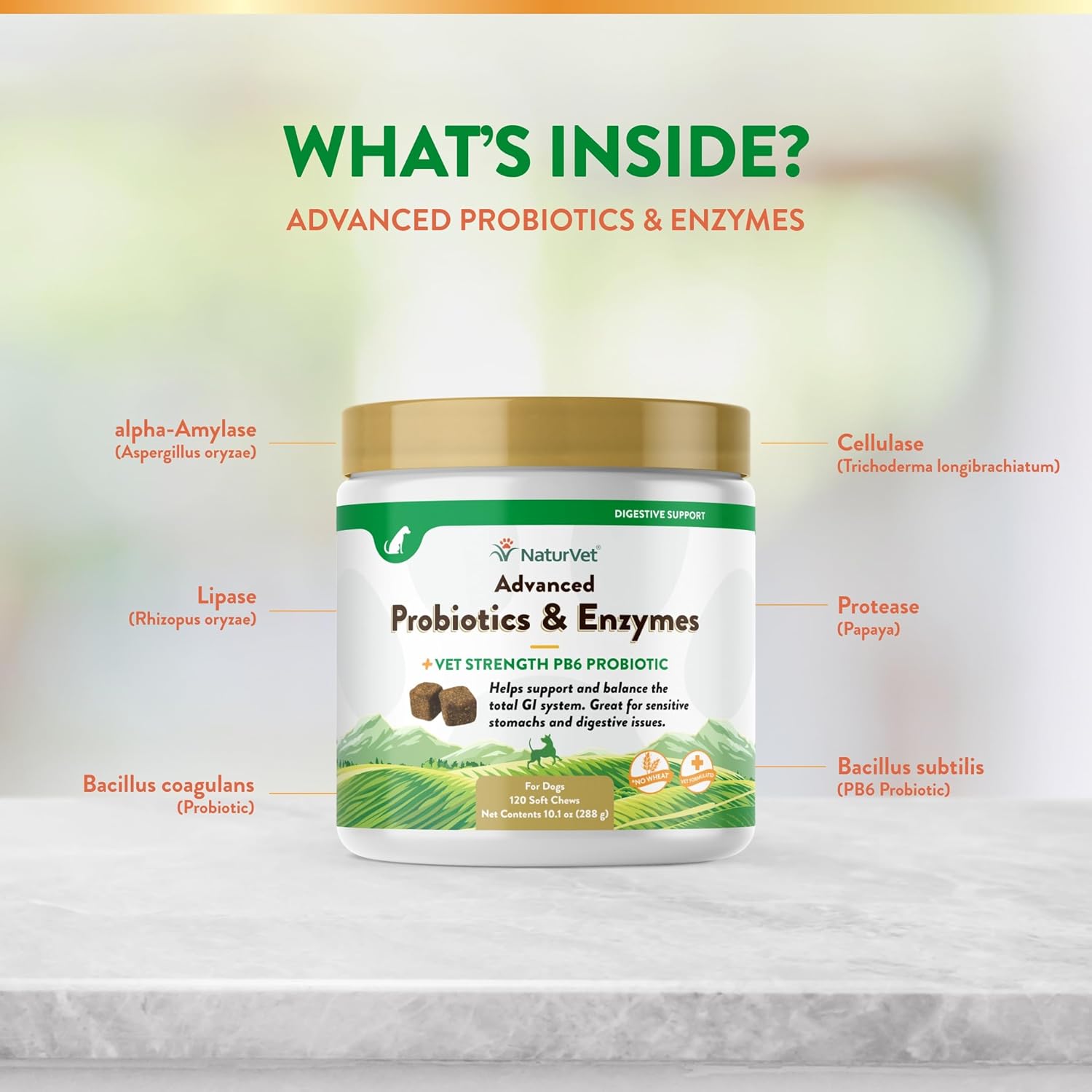 NaturVet Advanced Probiotic and Enzyme Supplement for Dogs, 120 Soft Chews for Digestive Health