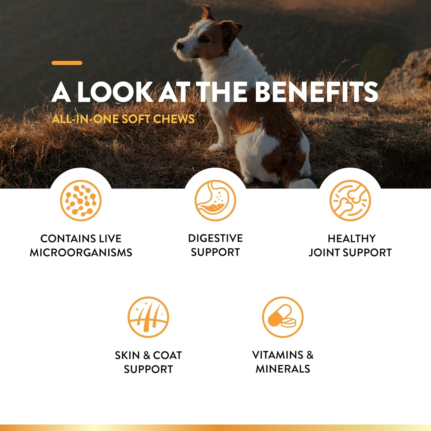 NaturVet All-in-One Dog Supplement for Joint Support, Digestion, Skin & Coat Care - 120 Soft Chews with Omega Fatty Acids & Minerals