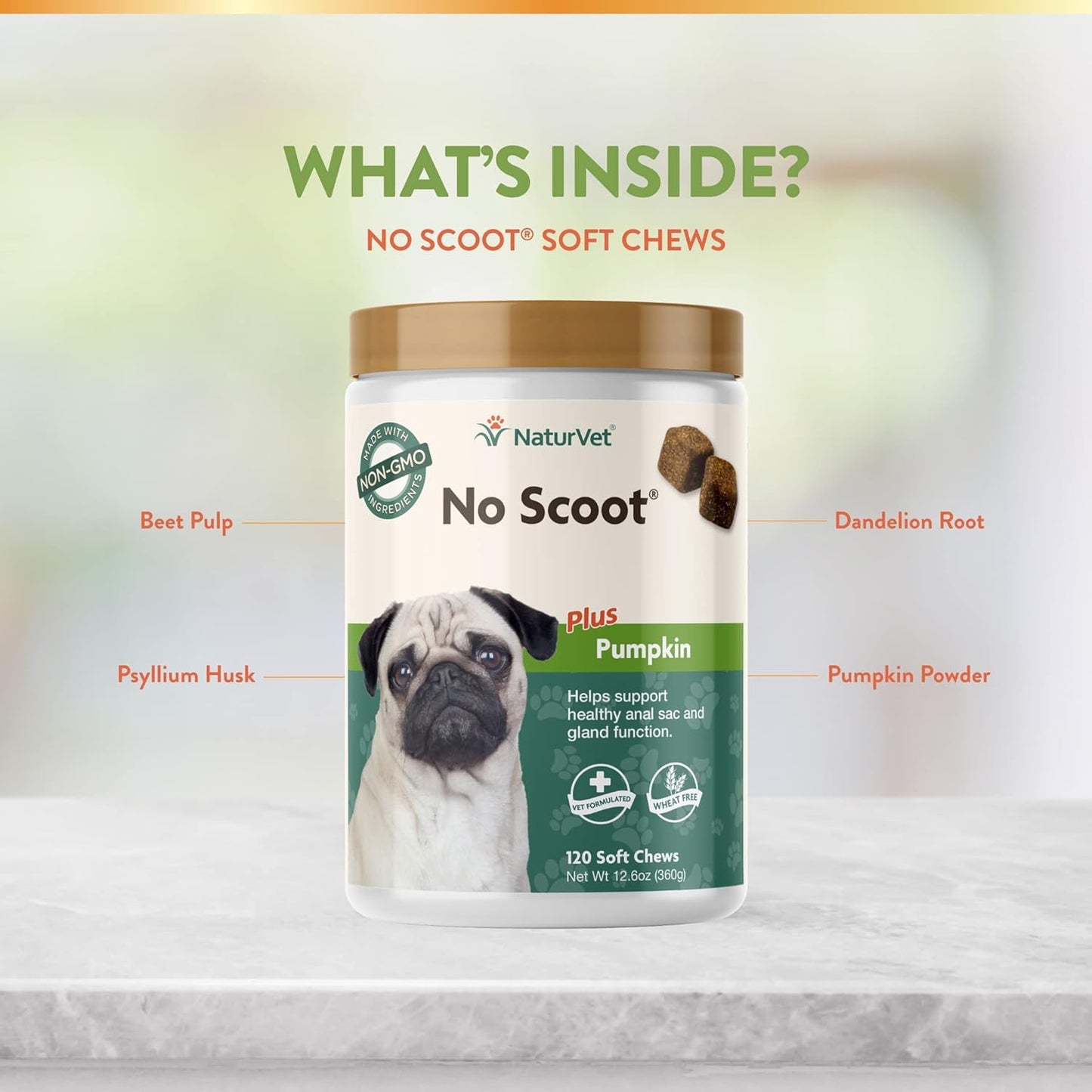 NaturVet Probiotic & Enzyme Supplement for Dogs - 120 Soft Chews - Supports Digestive Health & Anal Gland Function