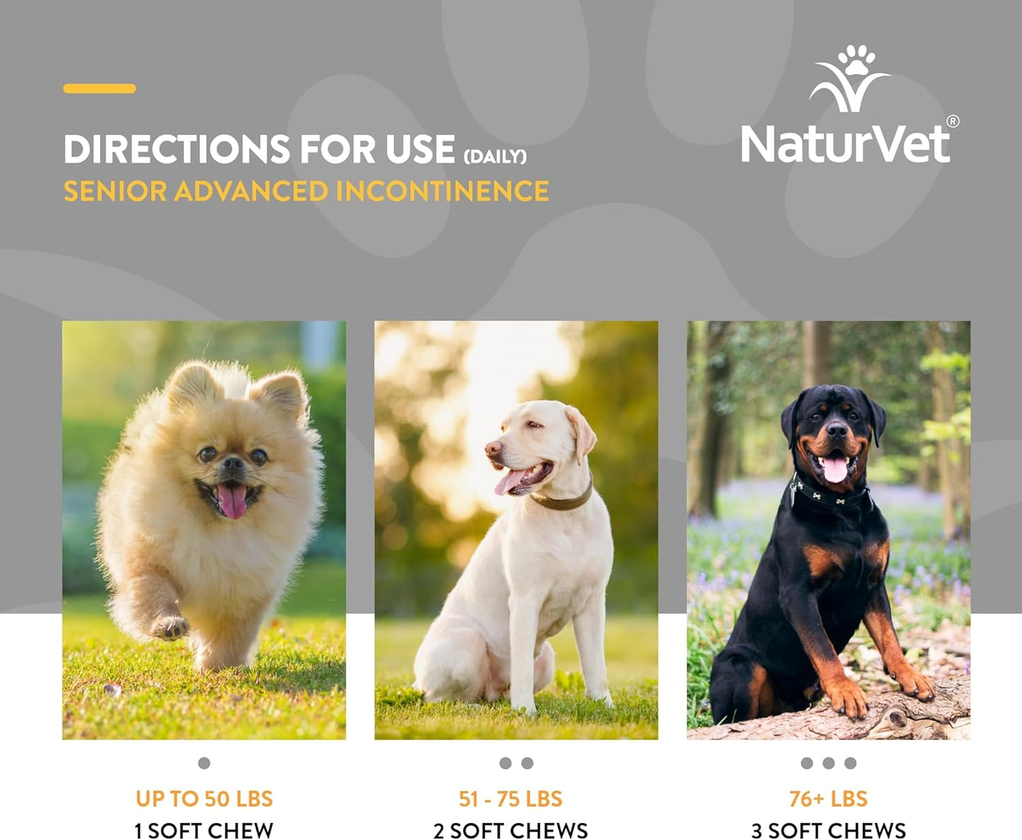 NaturVet Senior Dog Supplement for Bladder Control - Botanical Blend - 60 Soft Chews