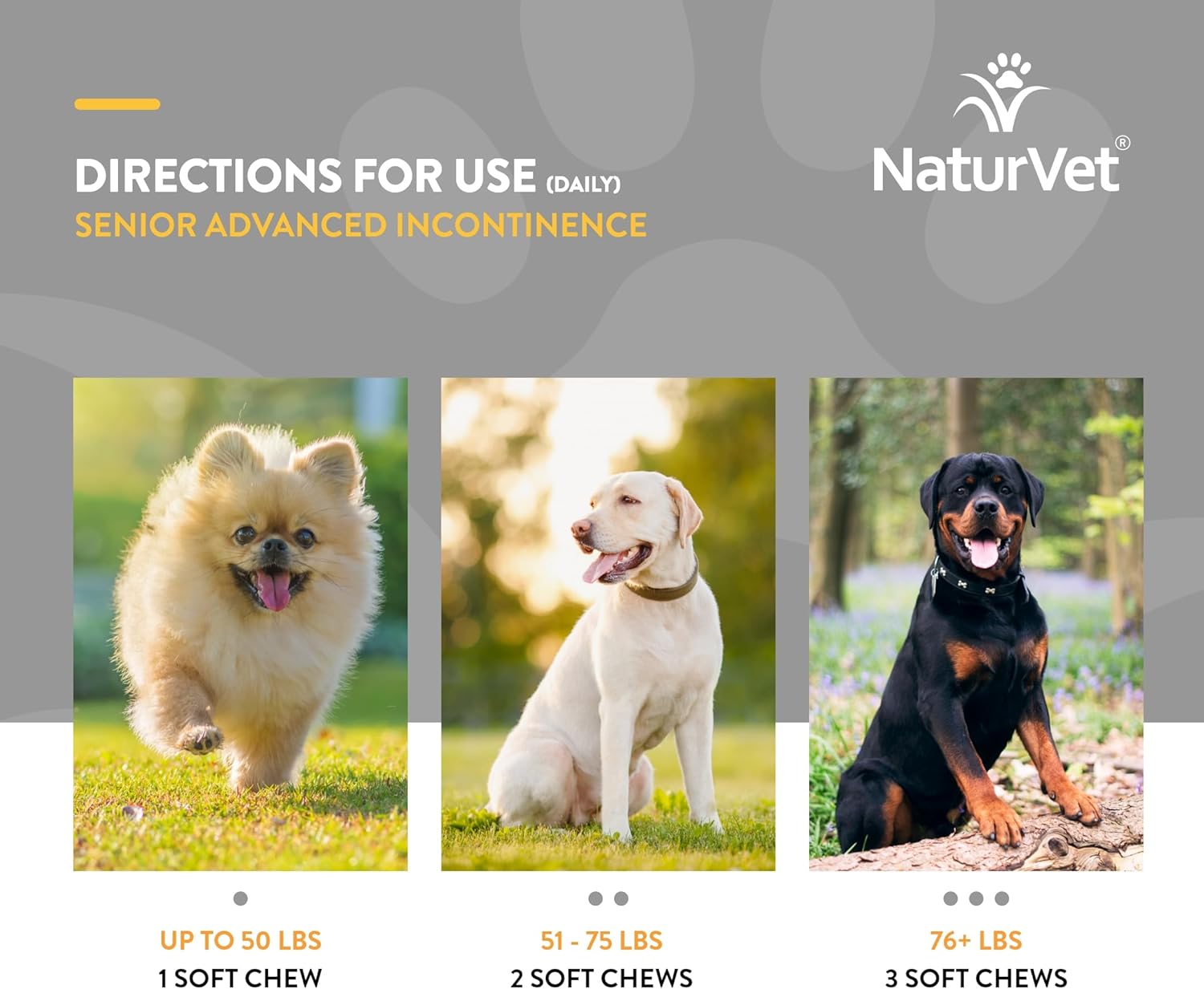 NaturVet Senior Dog Supplement for Bladder Control - Botanical Blend - 60 Soft Chews