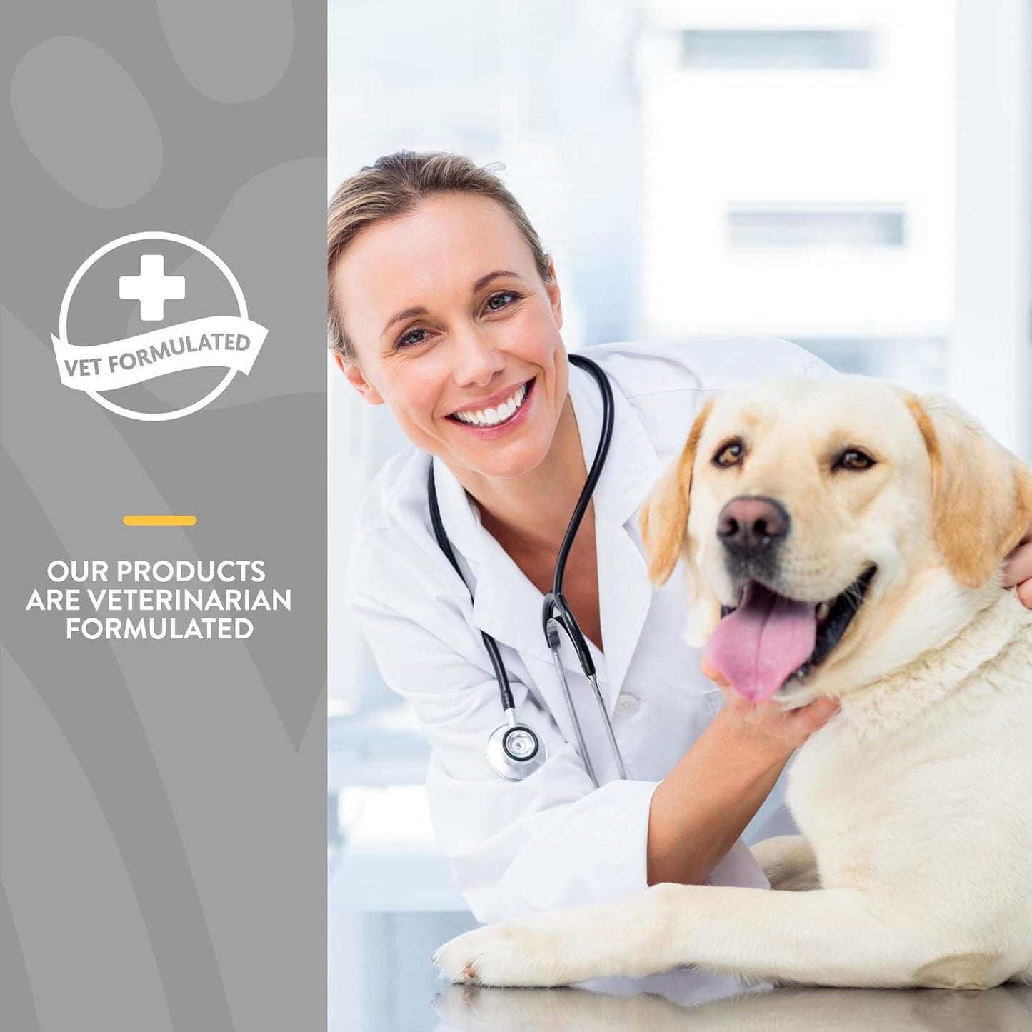 NaturVet Senior Dog Supplement with 5-in-1 Support for Immune System, Heart, Liver, Cognitive Function, and Eye Health - Includes Ginkgo Biloba and Lutein - 60 Ct.