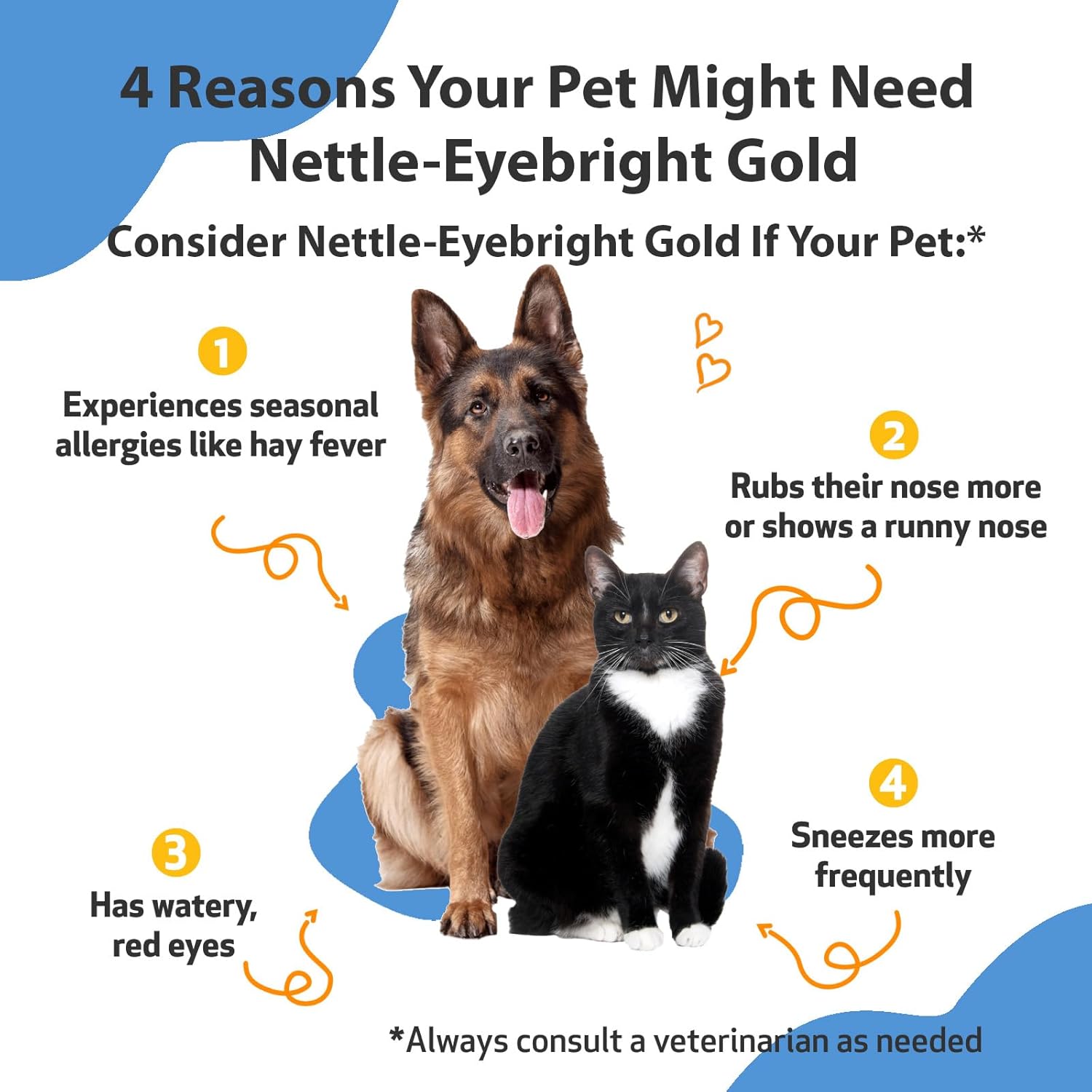 Nettle-Eyebright Gold Herbal Supplement for Pets - Seasonal Allergies, Sneezing, Eye, and Nose Discomfort - Veterinarian Formulated - 4 oz