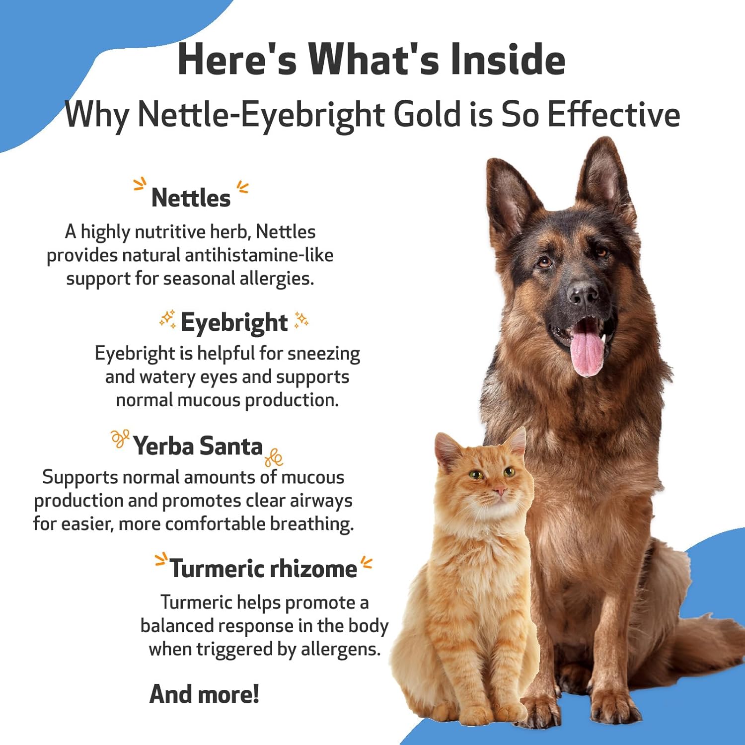 Nettle-Eyebright Gold Herbal Supplement for Pets - Seasonal Allergies, Sneezing, Eye, and Nose Discomfort - Veterinarian Formulated - 4 oz